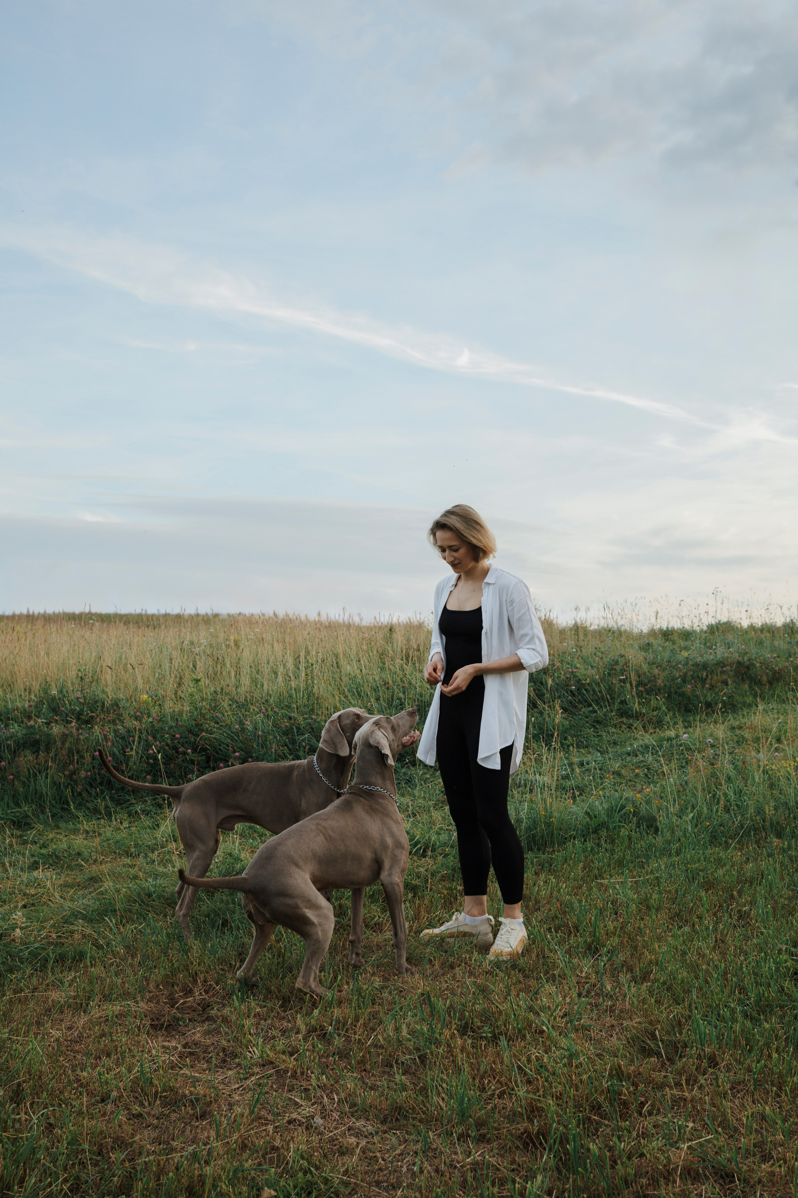 Маргарита и веймаранеры. Фотограф-анималист в Санкт-Петеребурге Титова Алиса