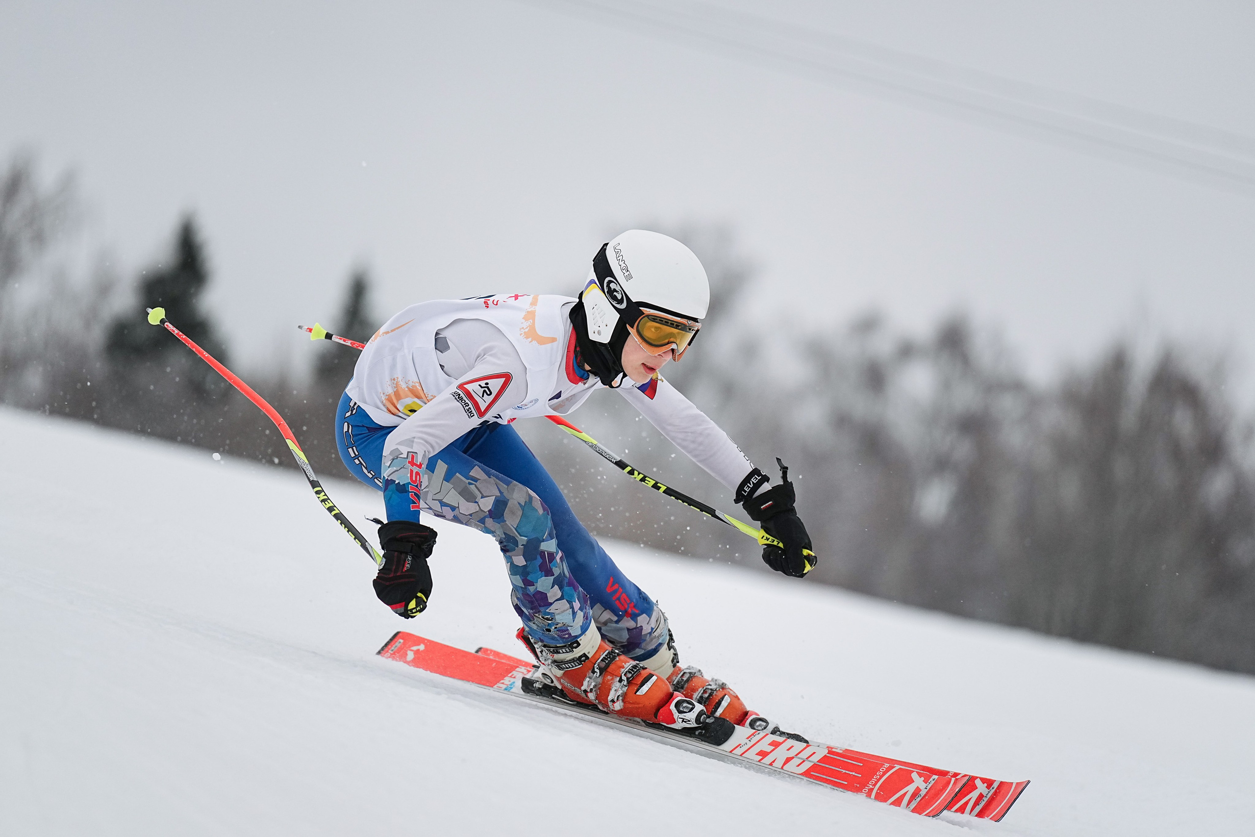 Горные лыжи. Первенство Центрального Федерального Округа. GS U14 Шуколово. Фотограф Студитский Евгений