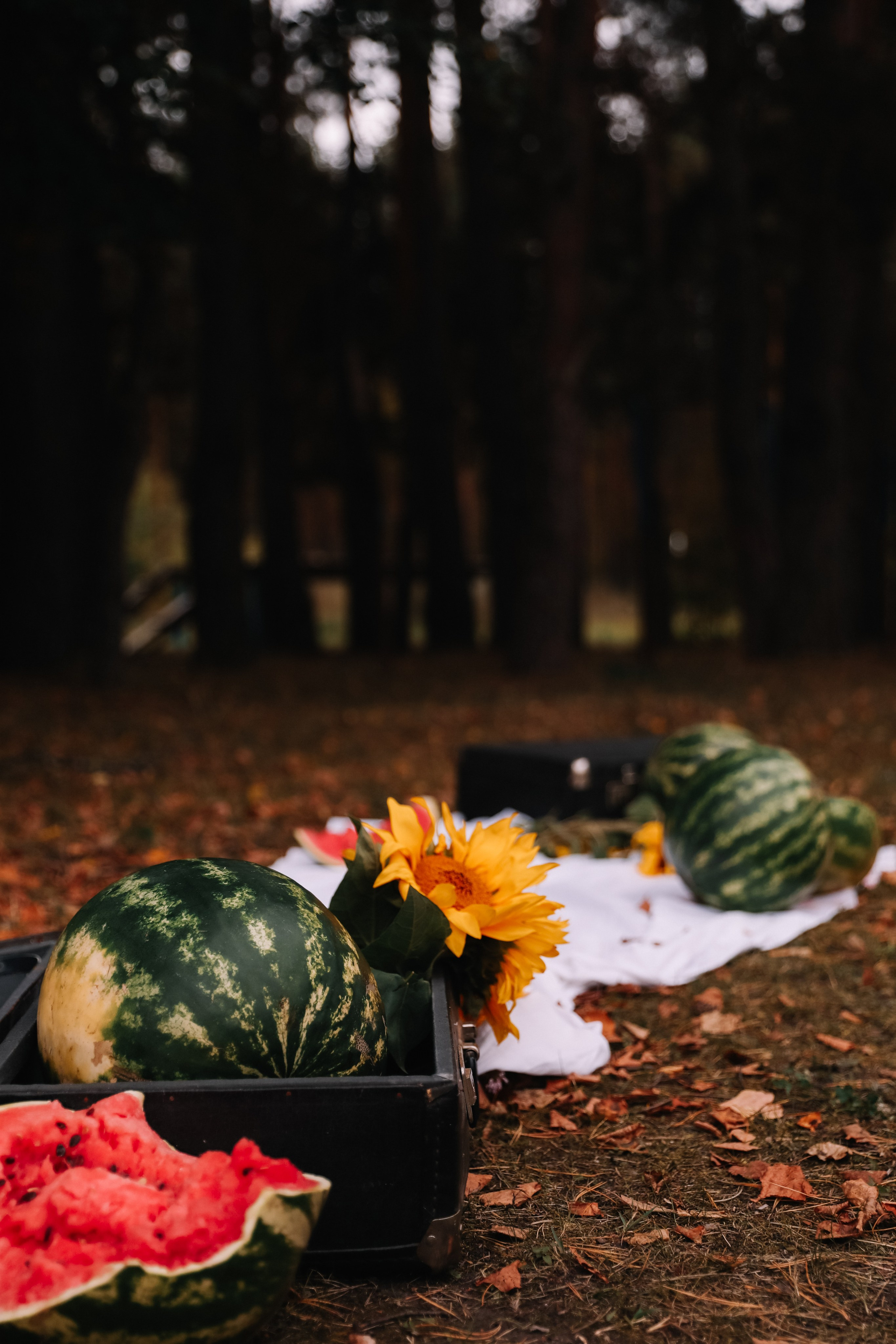 Осенняя чума. Свадебный и семейный фотограф в городе Пенза, Саранск, Ковылкино