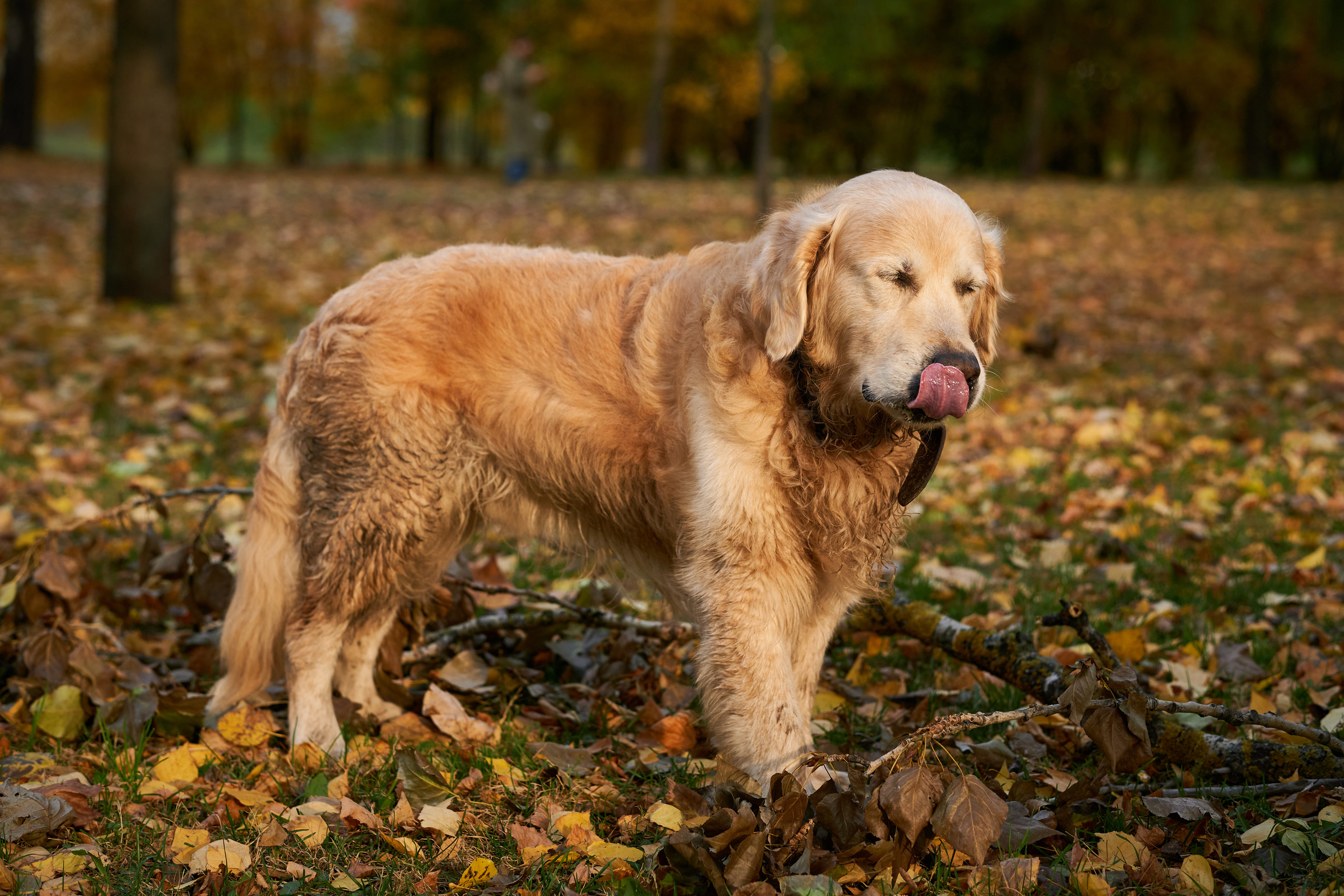 Случайные съемки. Фотограф людей и животных в Санкт-Петербурге Марина Бурмистрова