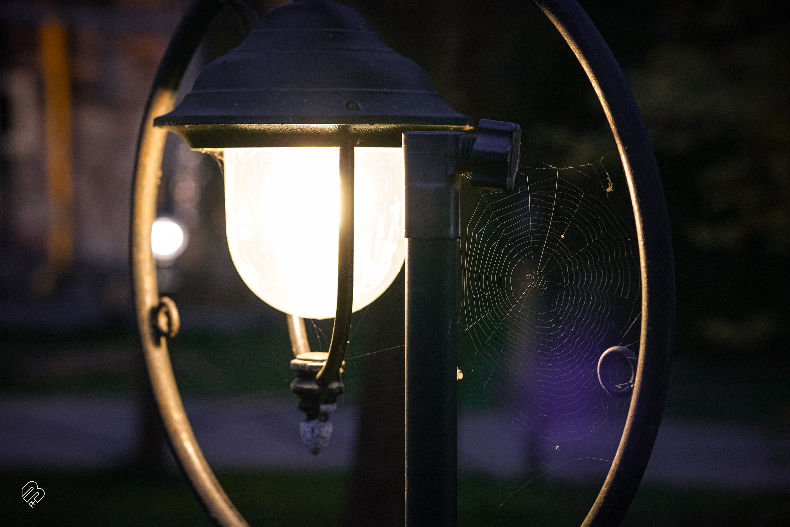 Прогулка у ресторана «Русская рыбалка». Фотограф людей и животных в Санкт-Петербурге Марина Бурмистрова