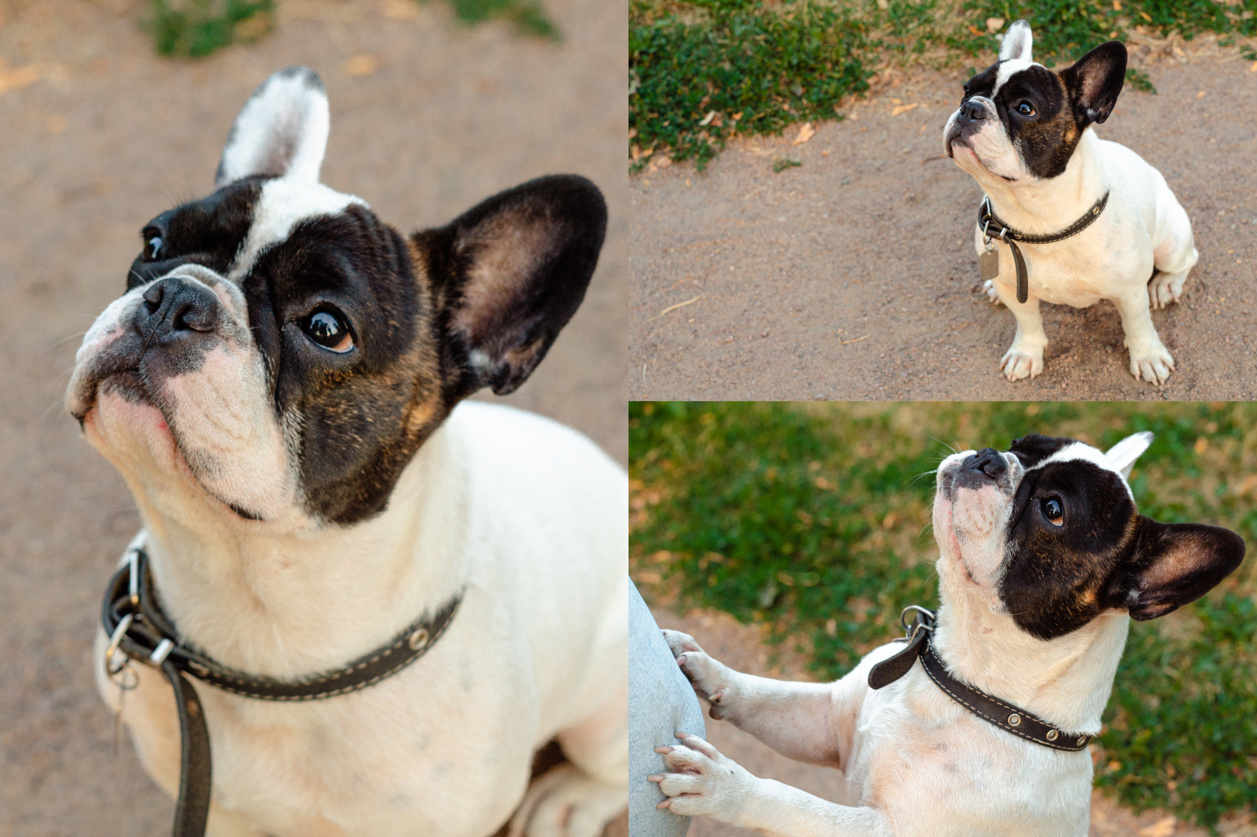 Случайные съемки. Фотограф людей и животных в Санкт-Петербурге Марина Бурмистрова