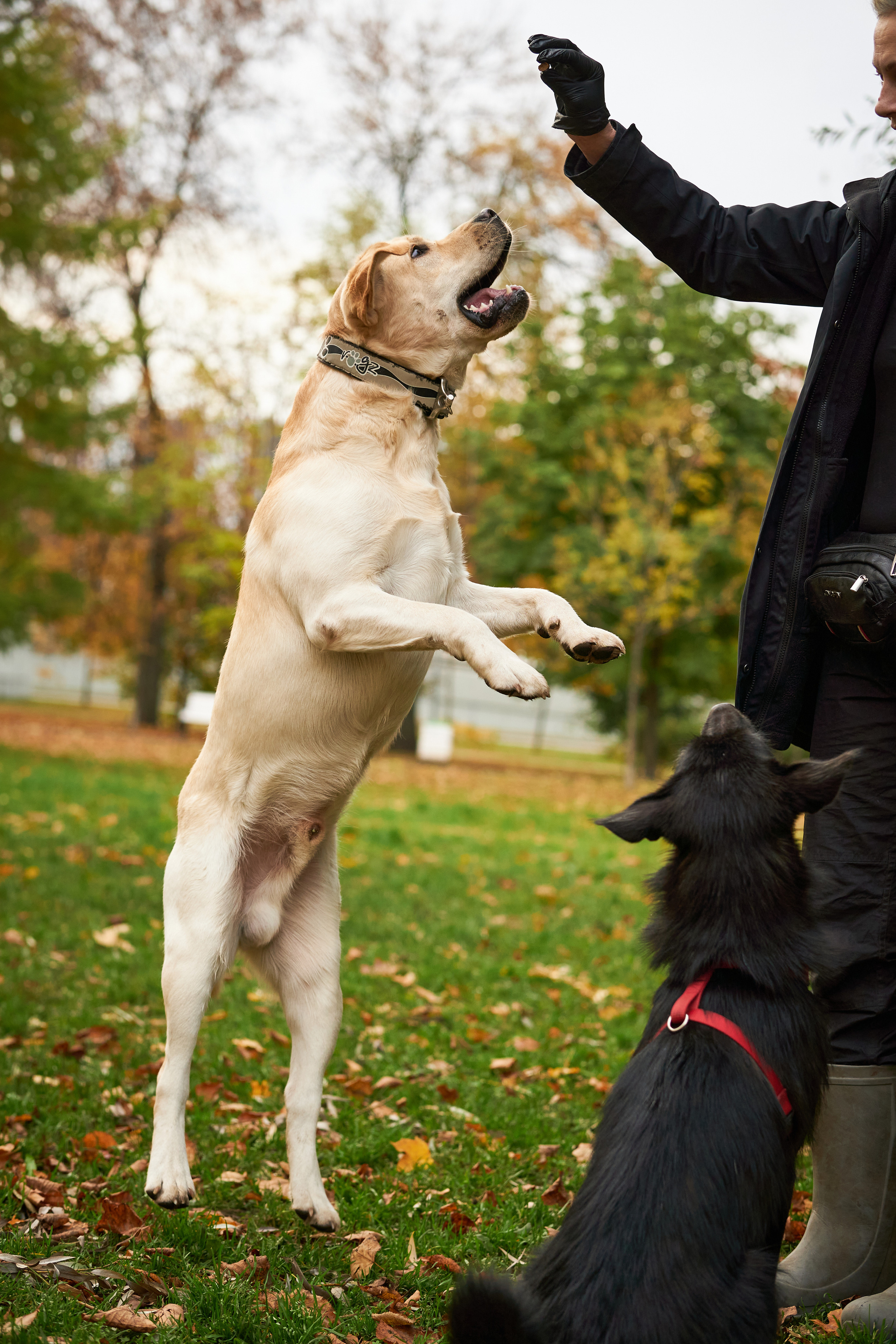 Случайные съемки. Фотограф людей и животных в Санкт-Петербурге Марина Бурмистрова