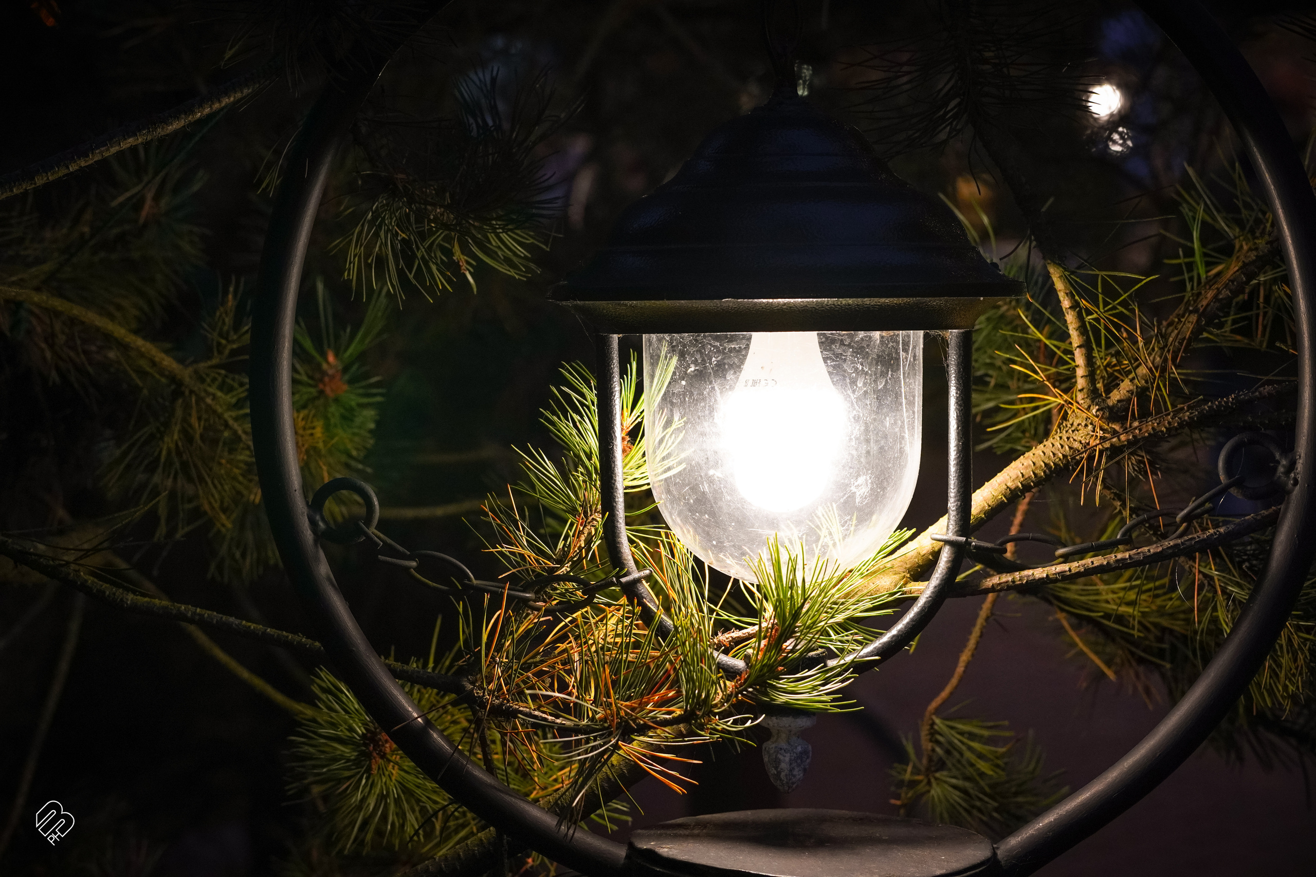 Прогулка у ресторана «Русская рыбалка». Фотограф людей и животных в Санкт-Петербурге Марина Бурмистрова