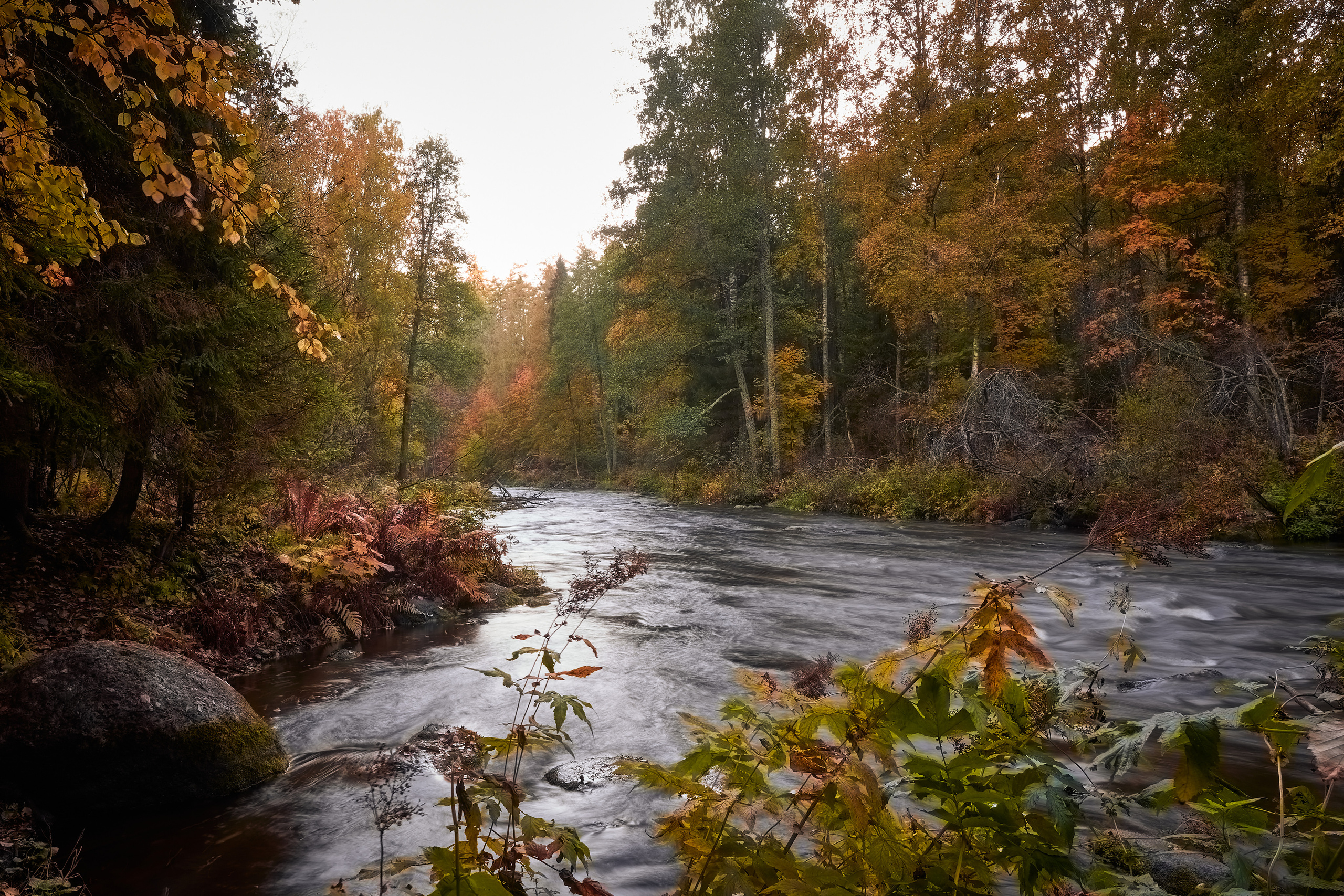 О пейзажах. Фотограф людей и животных в Санкт-Петербурге Марина Бурмистрова