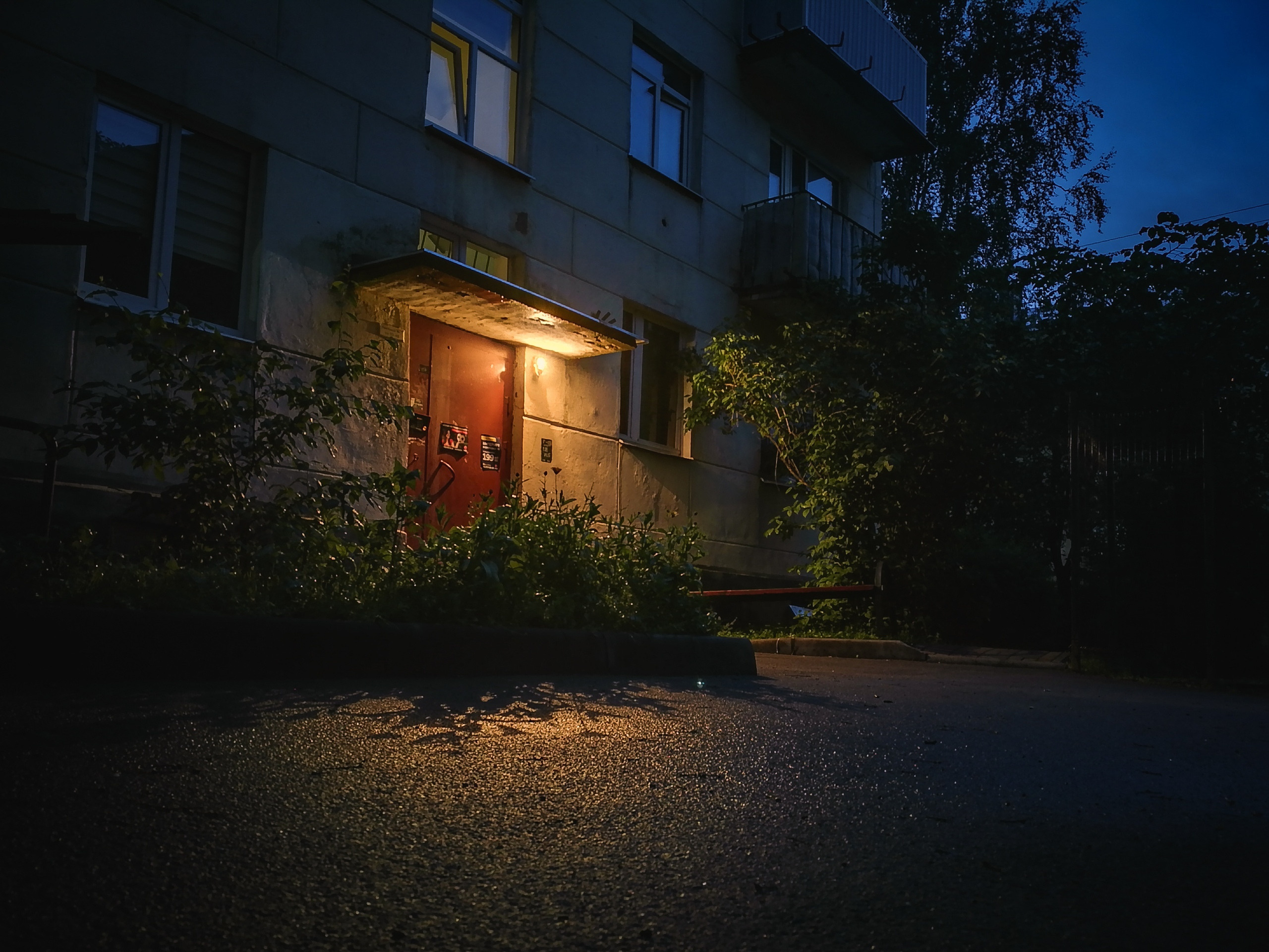 Мобильная фотография. Фотограф людей и животных в Санкт-Петербурге Марина Бурмистрова