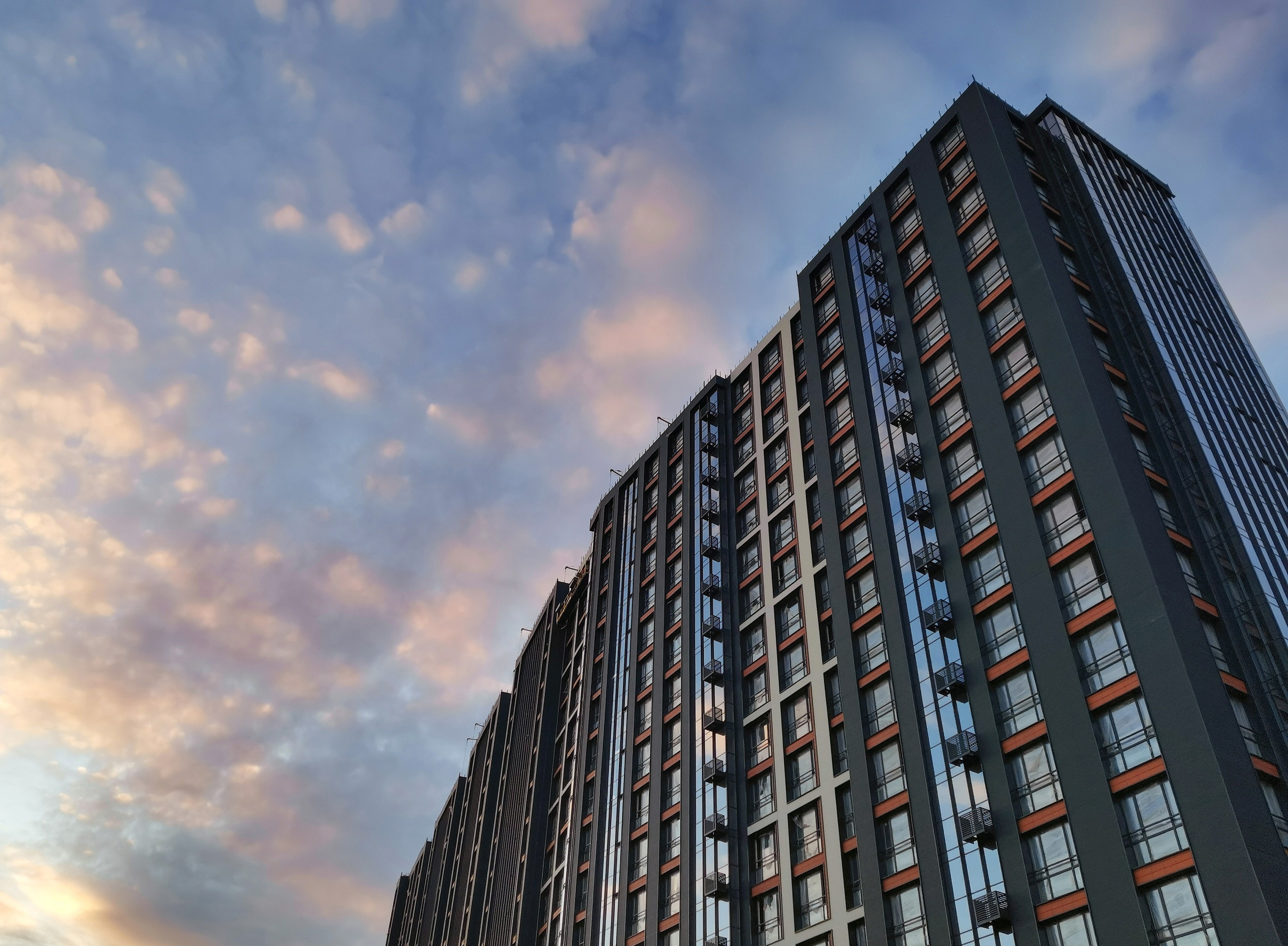 Мобильная фотография. Фотограф людей и животных в Санкт-Петербурге Марина Бурмистрова