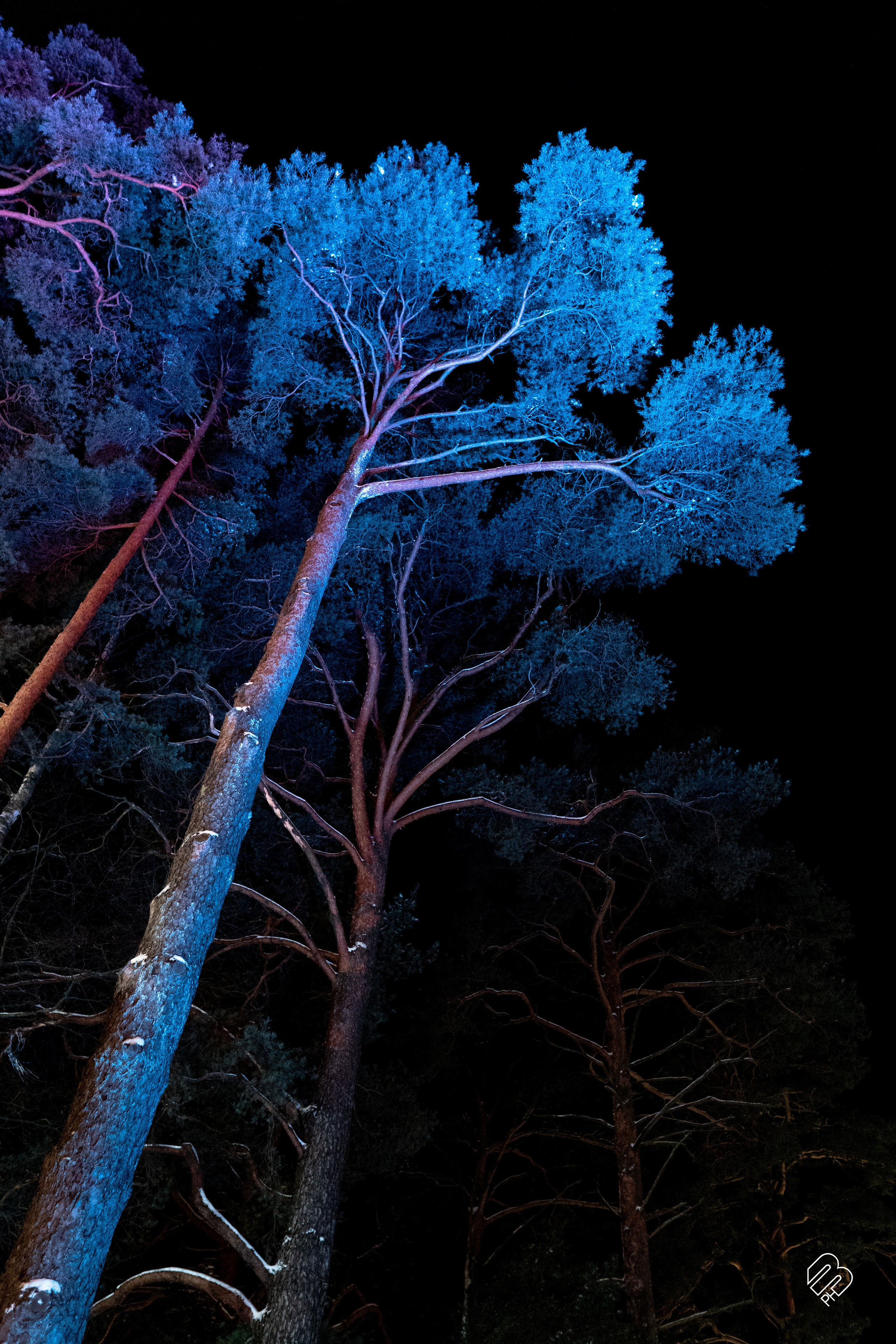 Зимняя сказка на Приморском шоссе. Фотограф людей и животных в Санкт-Петербурге Марина Бурмистрова