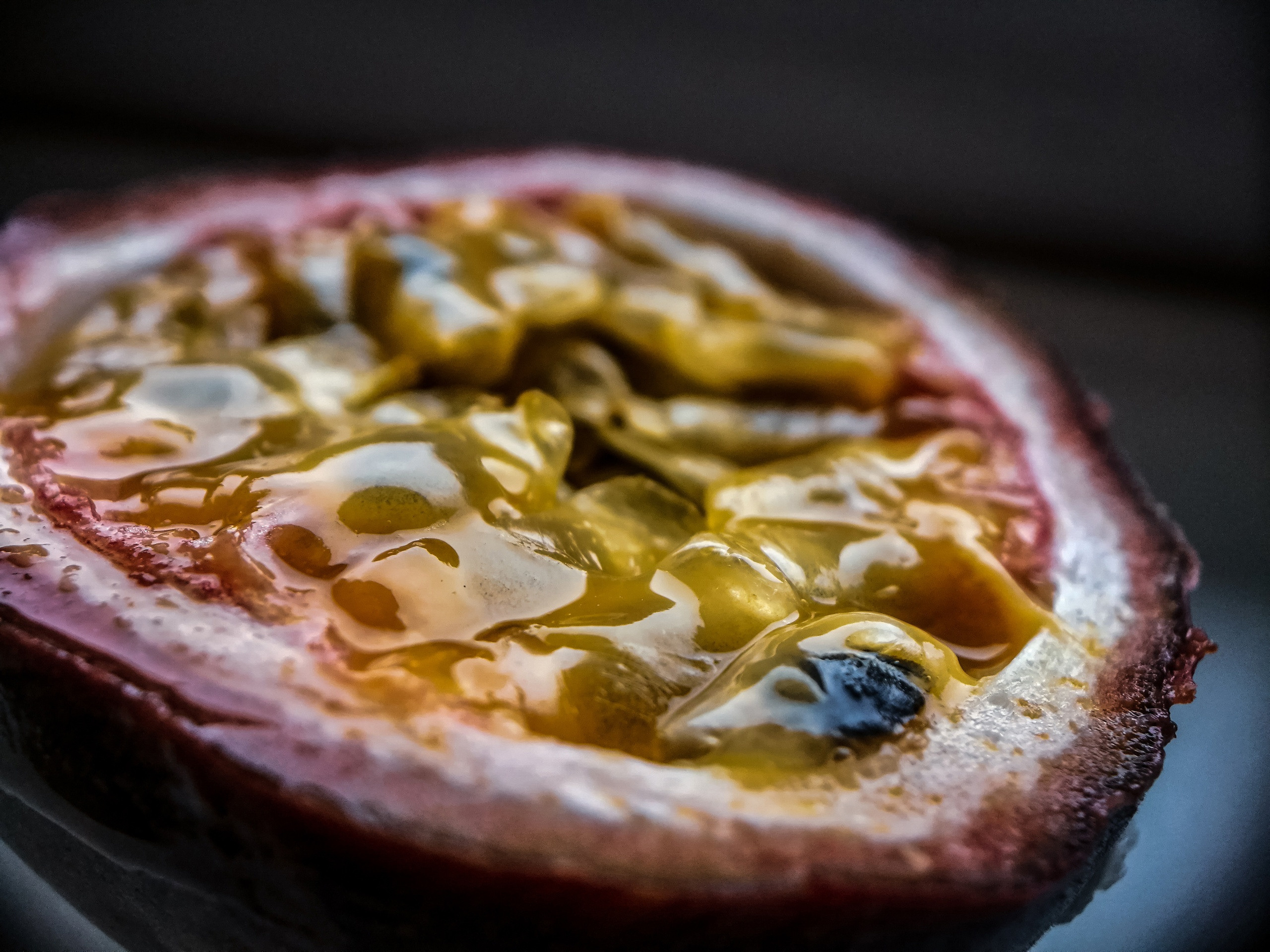 Мобильная фотография. Фотограф людей и животных в Санкт-Петербурге Марина Бурмистрова