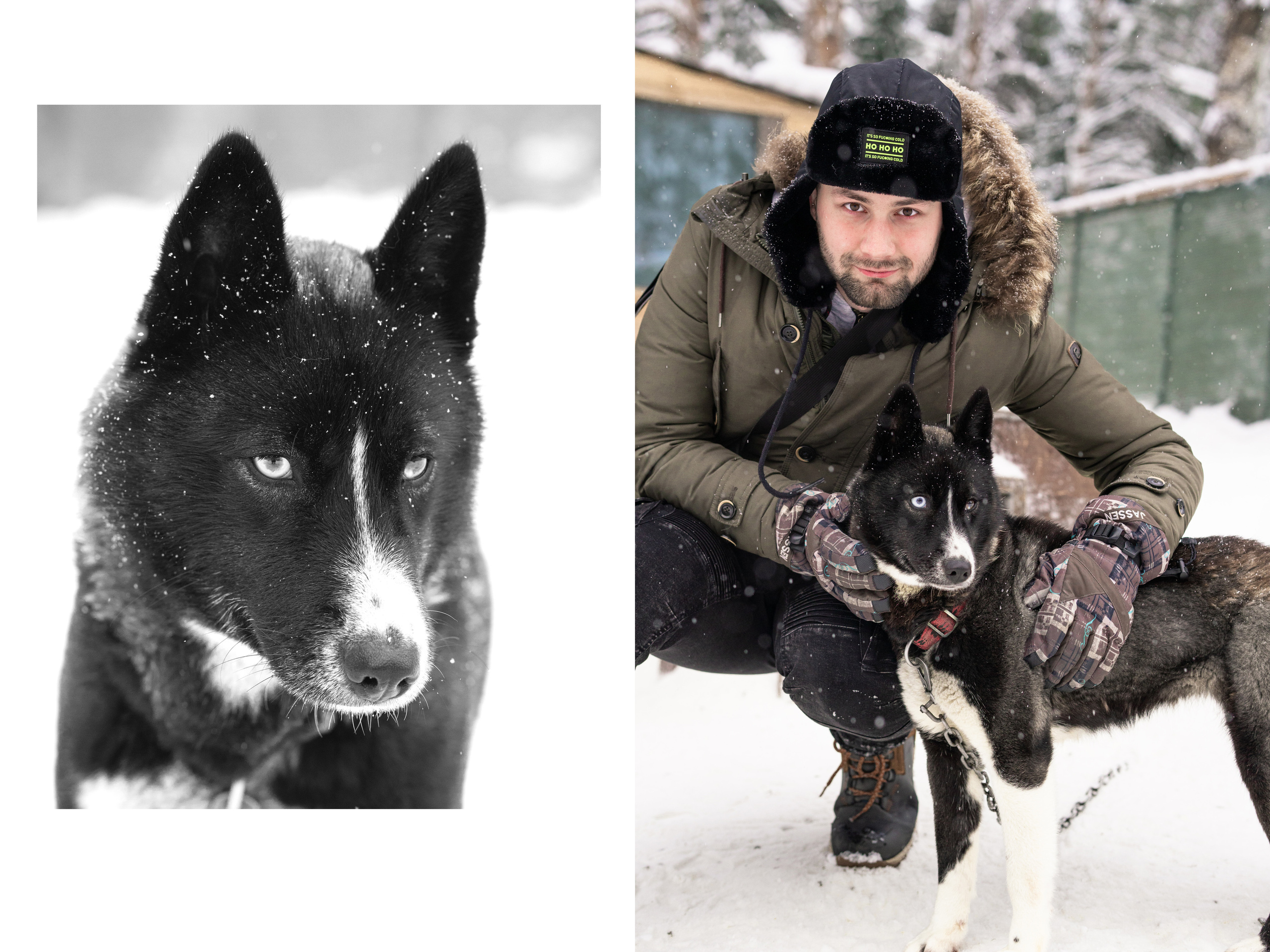 Прогулка с хаски в Пикник-парке ЛесОк. Фотограф людей и животных в Санкт-Петербурге Марина Бурмистрова