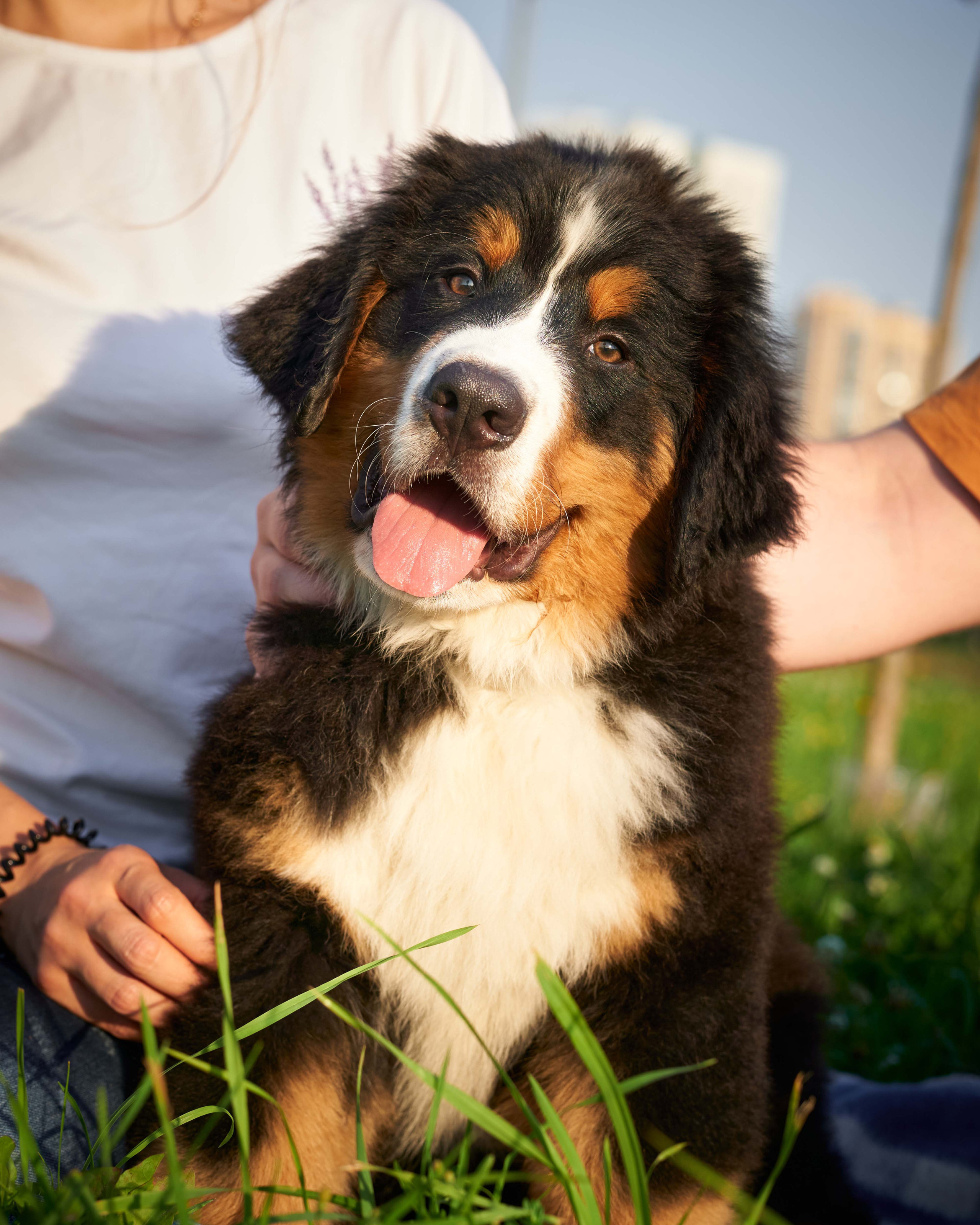 Прогулочные. Фотограф людей и животных в Санкт-Петербурге Марина Бурмистрова