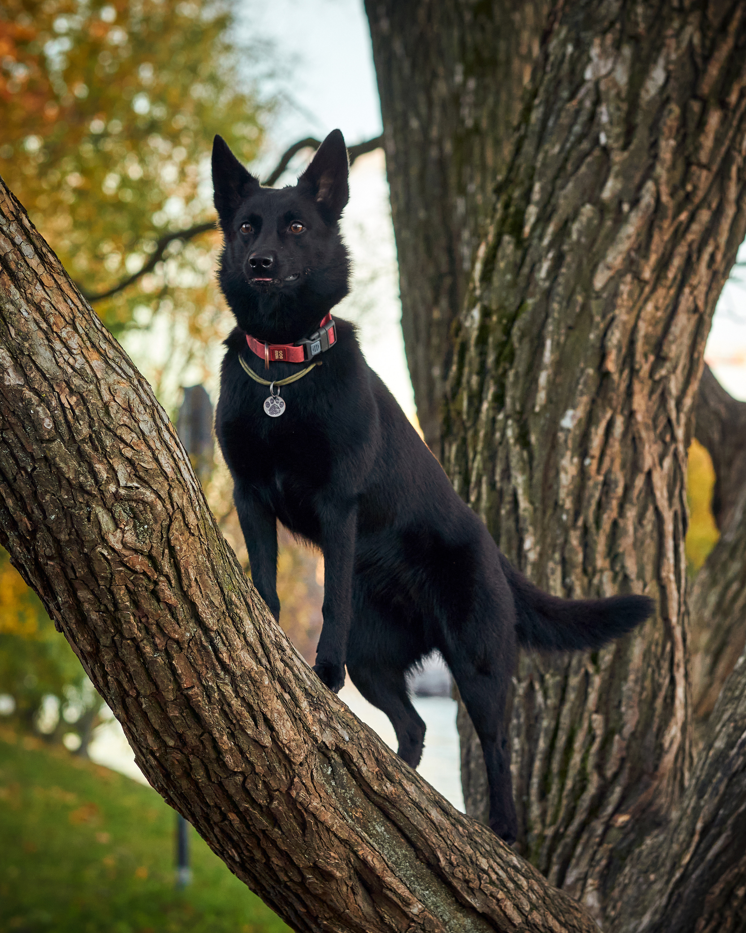 Случайные съемки. Фотограф людей и животных в Санкт-Петербурге Марина Бурмистрова