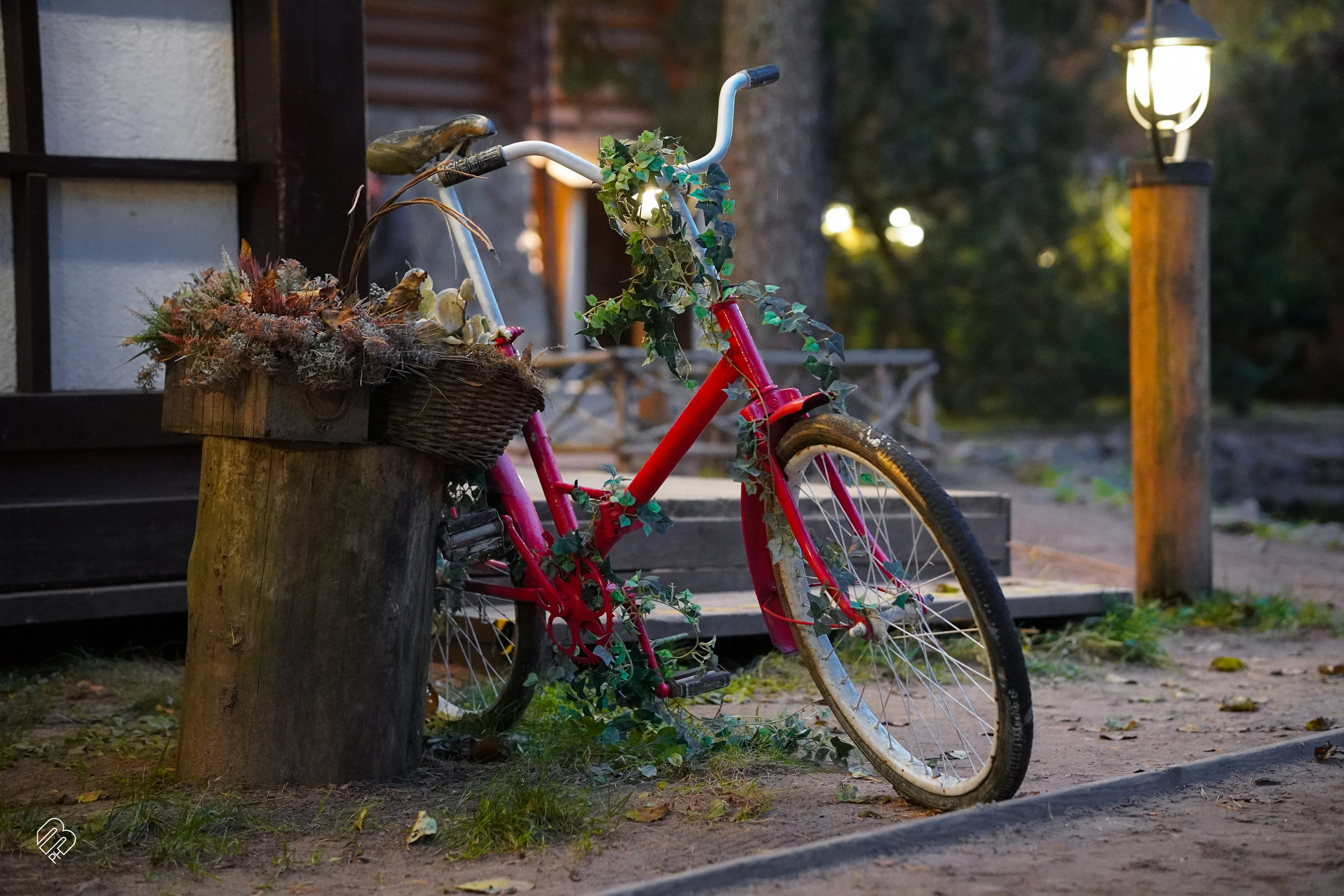 Прогулка у ресторана «Русская рыбалка». Фотограф людей и животных в Санкт-Петербурге Марина Бурмистрова