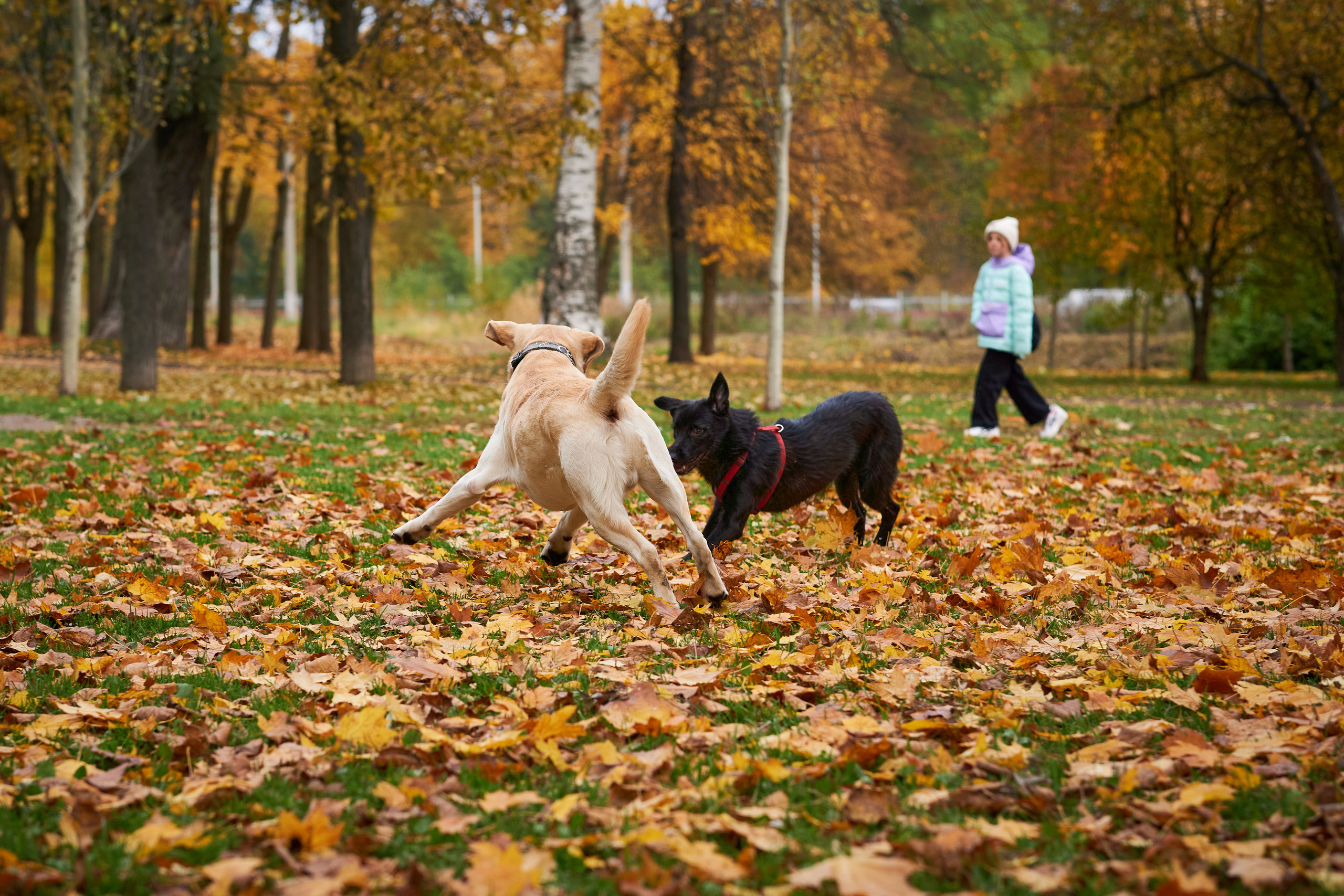 Случайные съемки. Фотограф людей и животных в Санкт-Петербурге Марина Бурмистрова