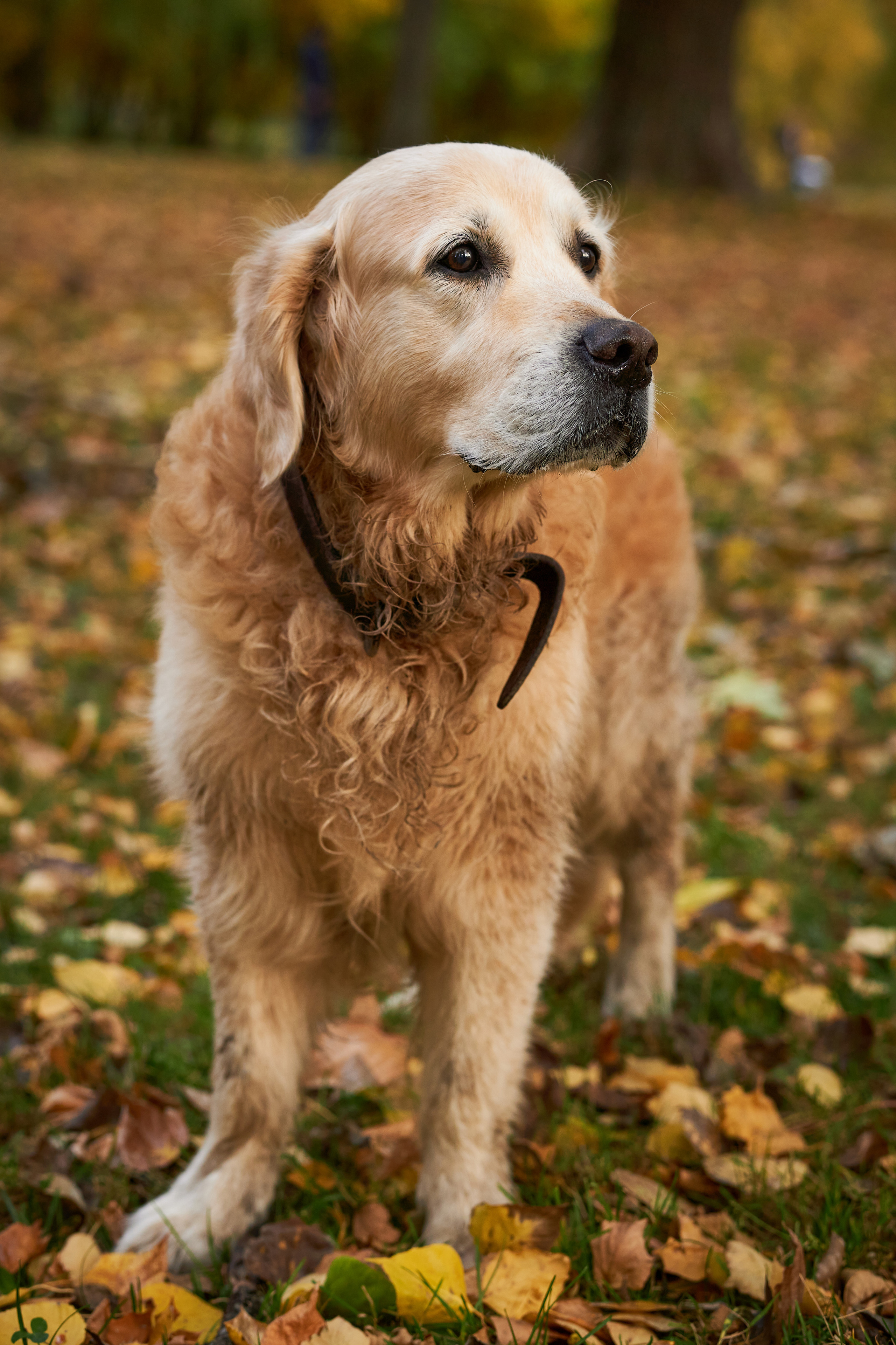 Случайные съемки. Фотограф людей и животных в Санкт-Петербурге Марина Бурмистрова