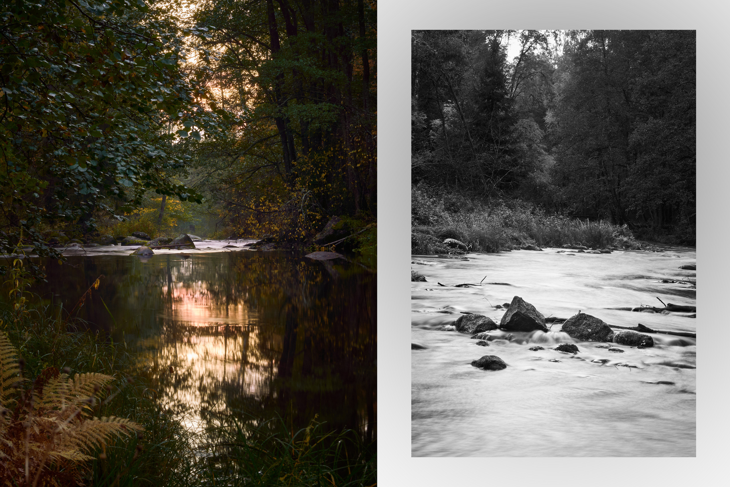 О пейзажах. Фотограф людей и животных в Санкт-Петербурге Марина Бурмистрова