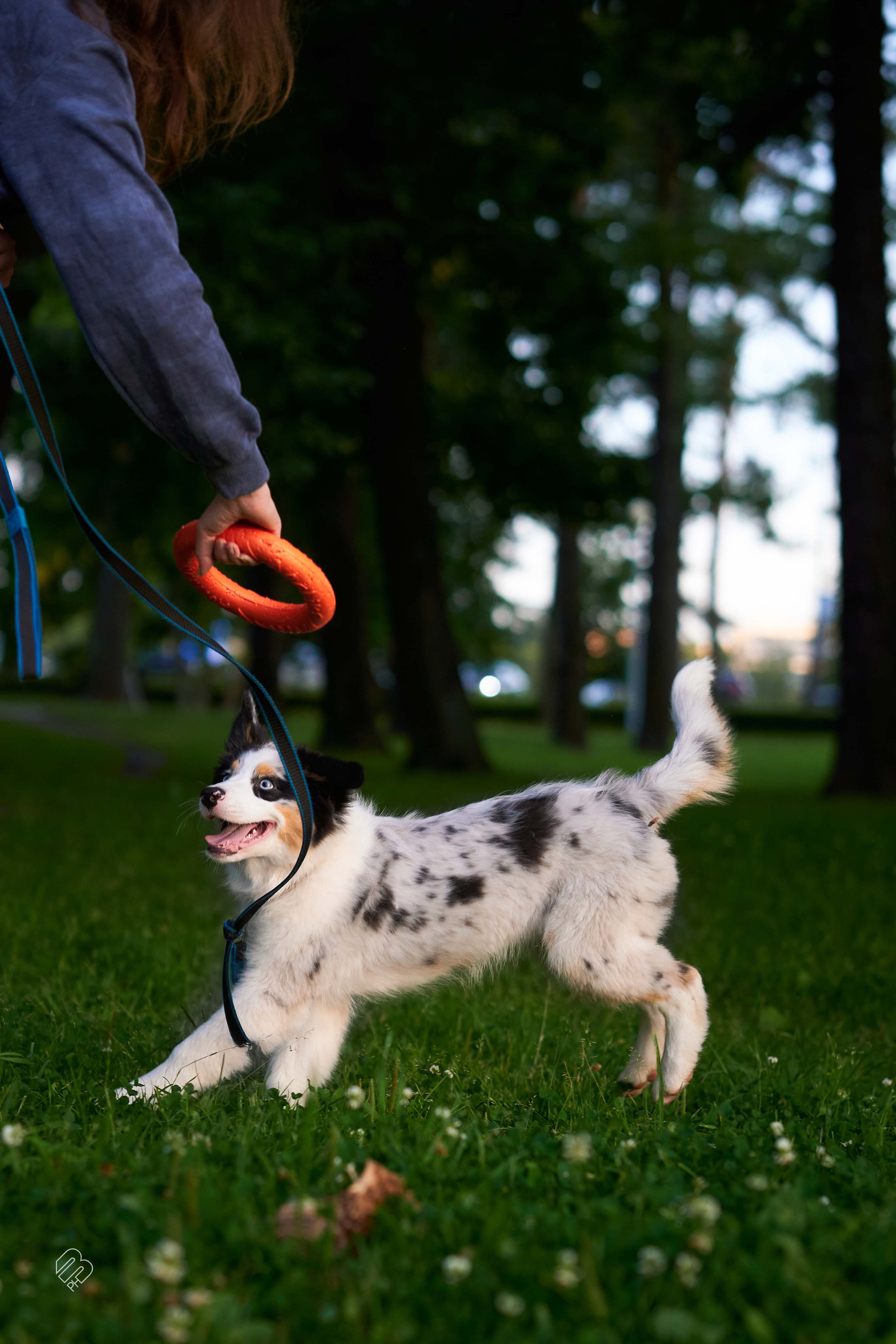 Прогулочные. Фотограф людей и животных в Санкт-Петербурге Марина Бурмистрова