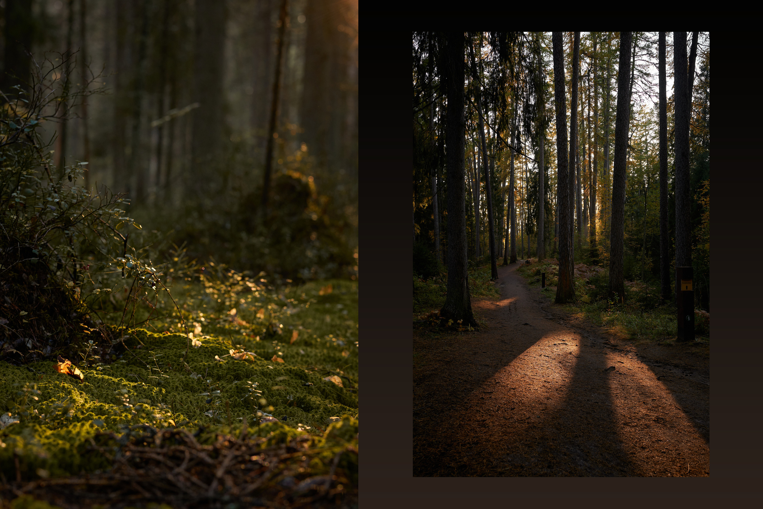 О пейзажах. Фотограф людей и животных в Санкт-Петербурге Марина Бурмистрова