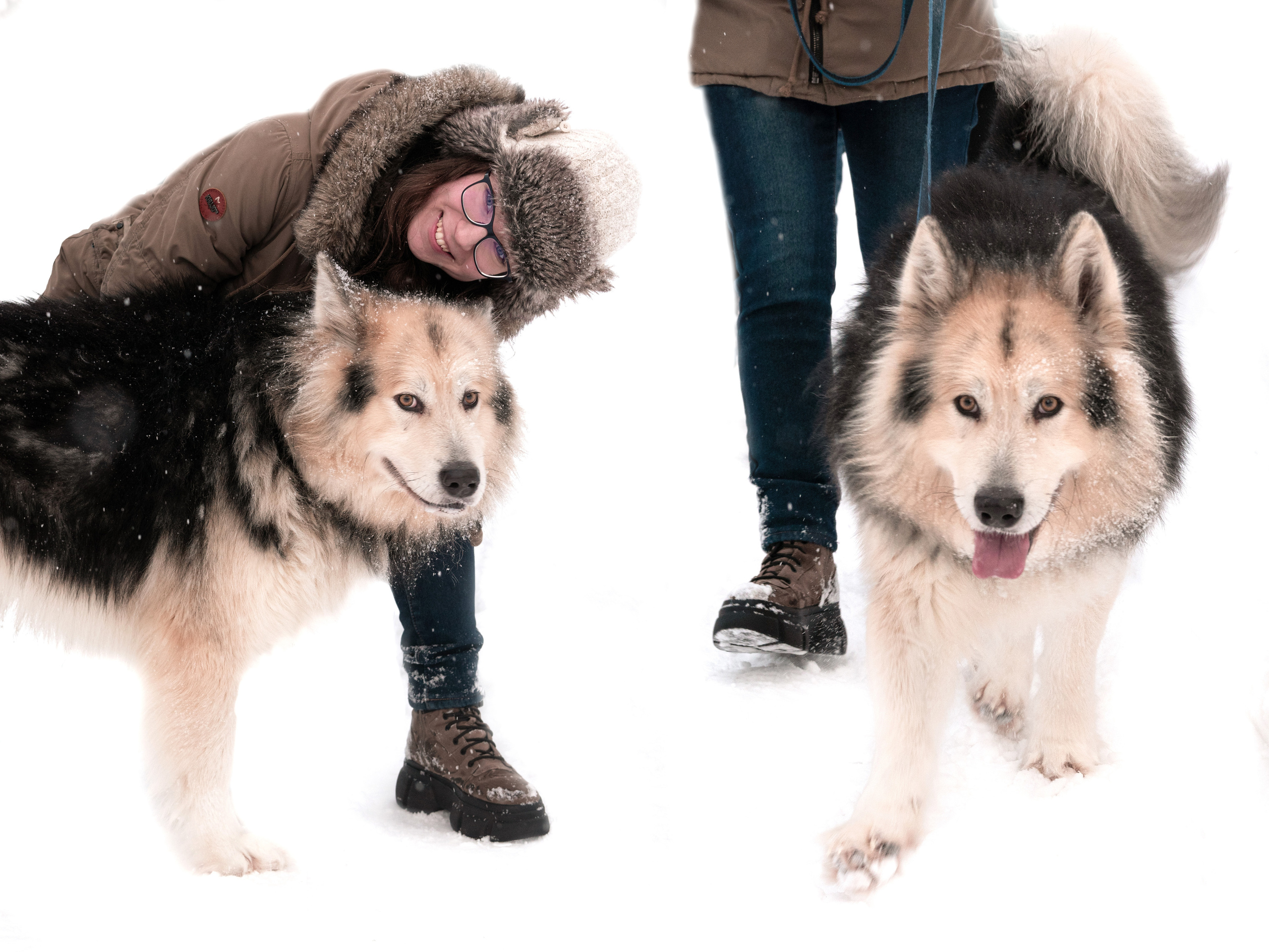 Прогулка с хаски в Пикник-парке ЛесОк. Фотограф людей и животных в Санкт-Петербурге Марина Бурмистрова