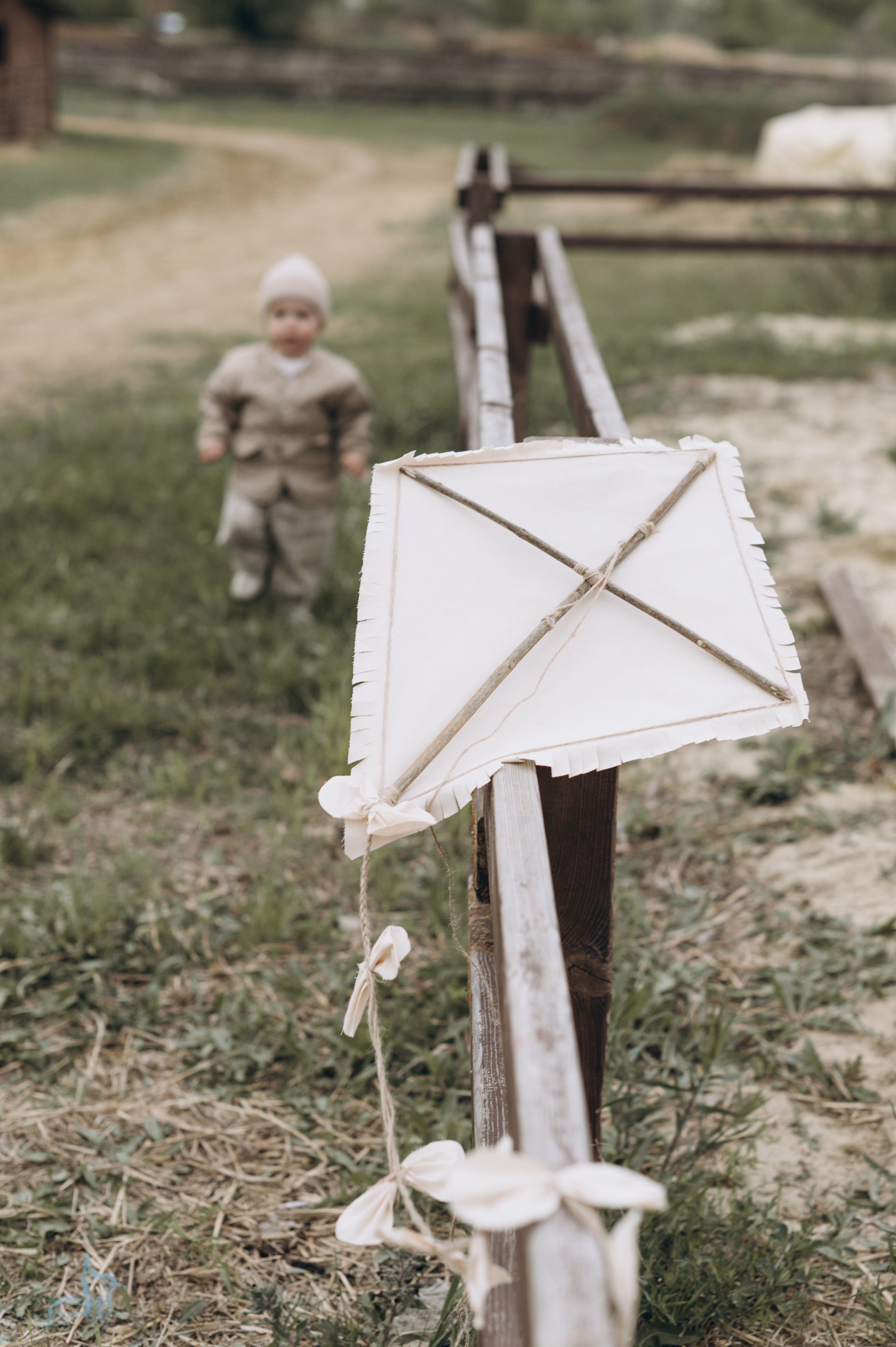 Прогулка с воздушным змеем. Семейный фотограф Воронеж Евгения Богданова