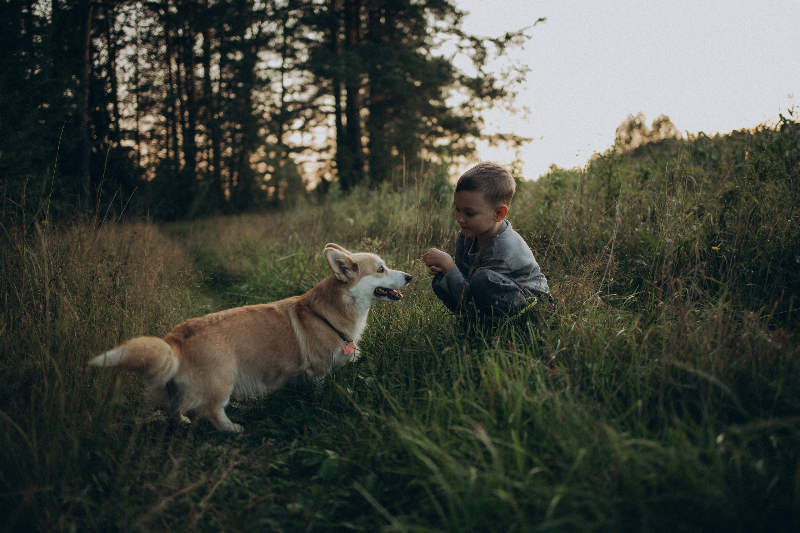 Дёма. Семейный и детский фотограф в Нижнем Новгороде Анурьева Алена