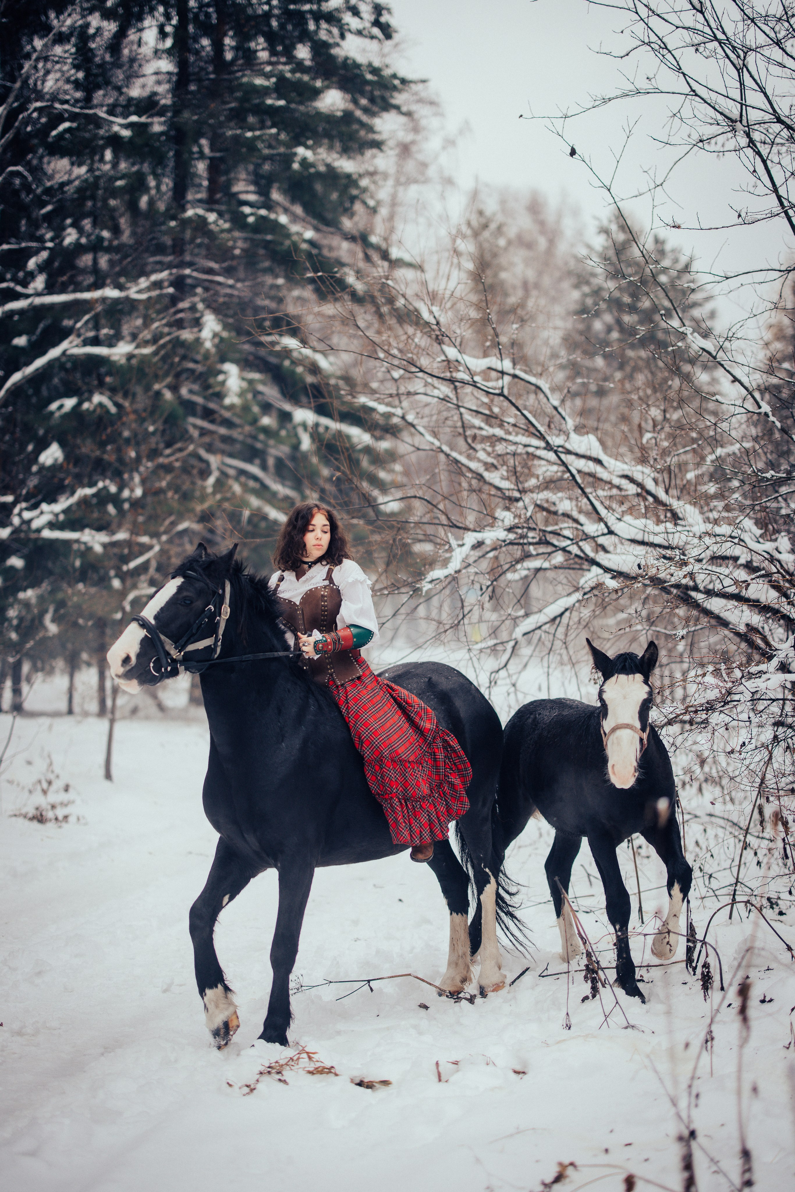 Шотландское. Портретный арт-фотограф в Екатеринбурге Алена Нестерова