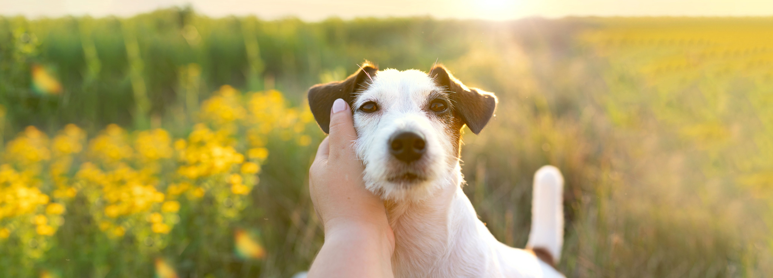 Фотограф Анна Телекаева, выпускные альбомы, семейные и репортажные съемки в Омске