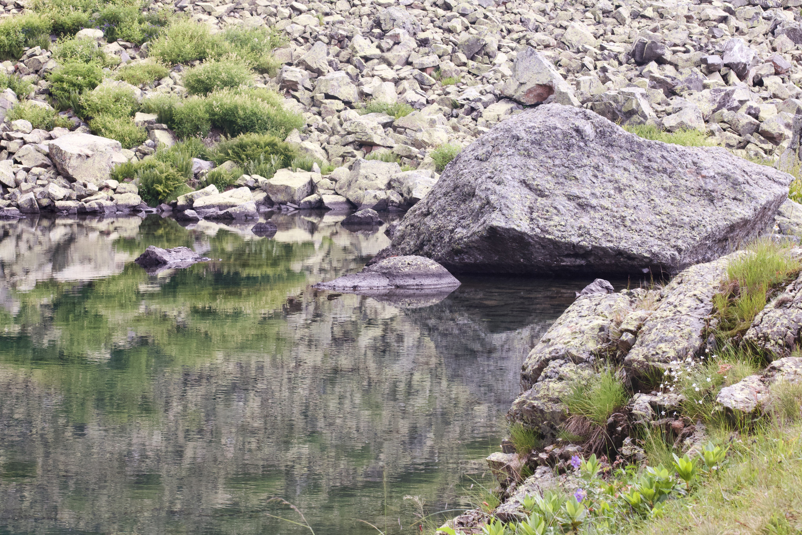 Абхазия. Школьные выпускные альбомы в Москве Марина Николаева