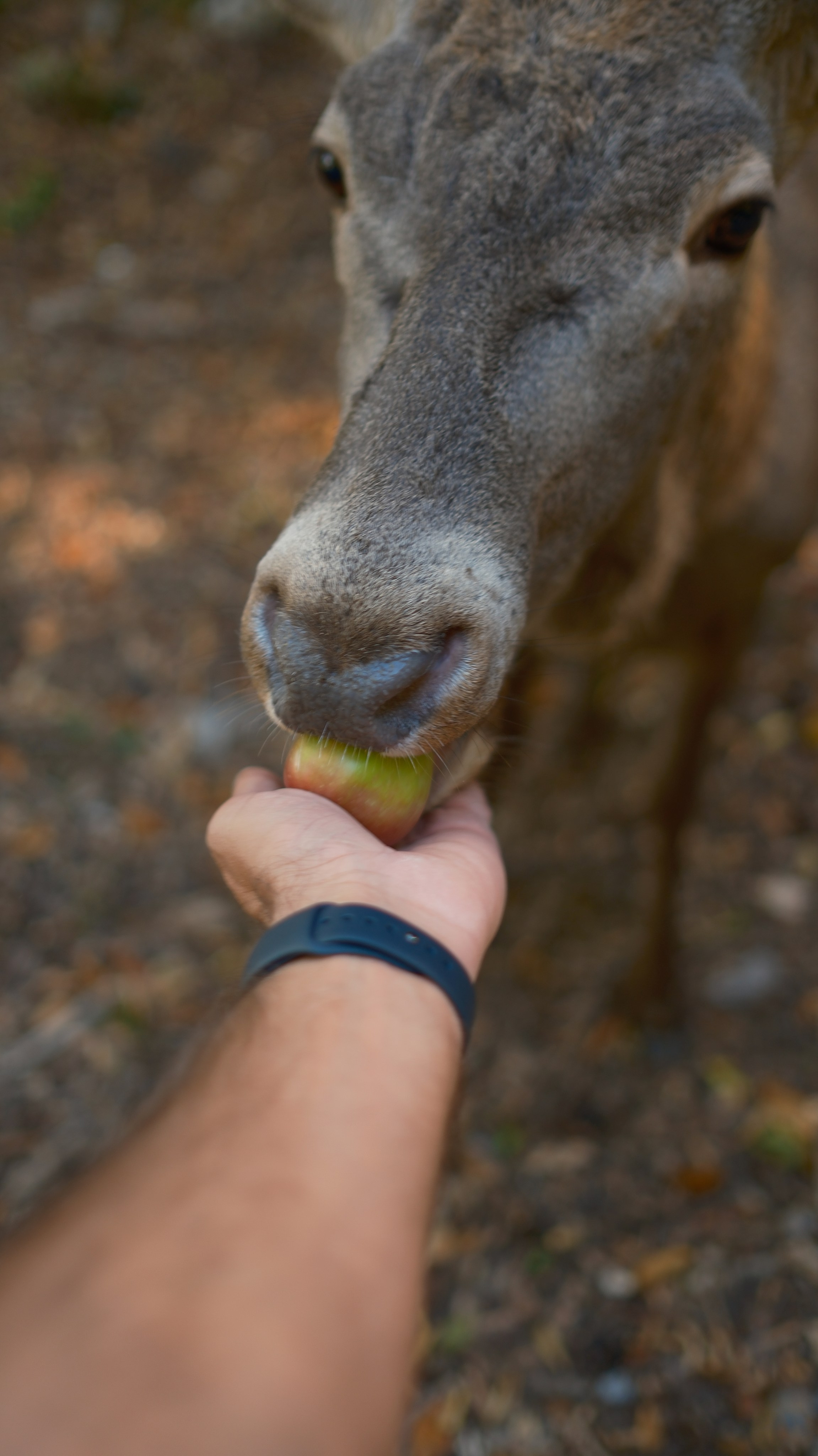 Хочу в Национальный Парк «Крымский». Гид и фотограф в Крыму Сергей Соколов