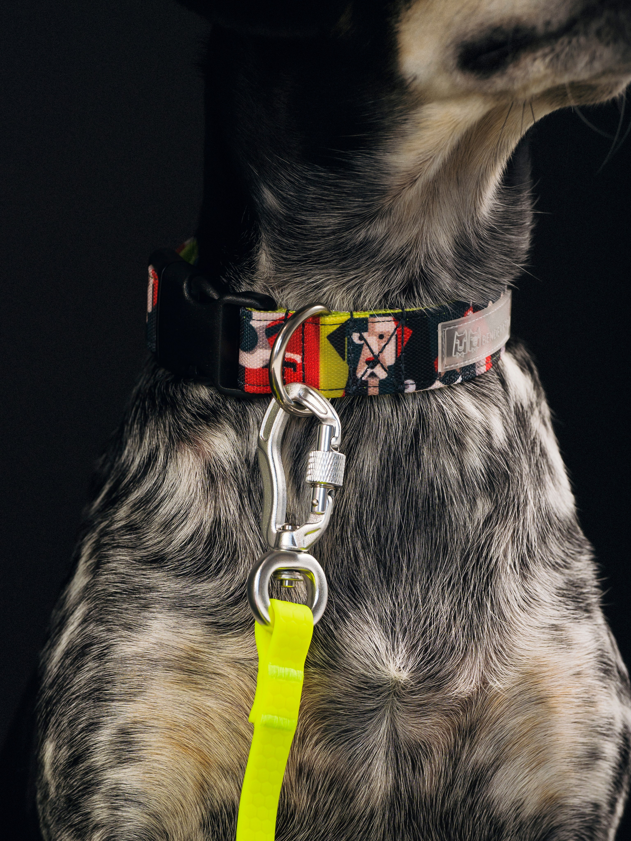 B&F. Амуниция. Семейный фотограф анималист Ананьева Мария — Москва