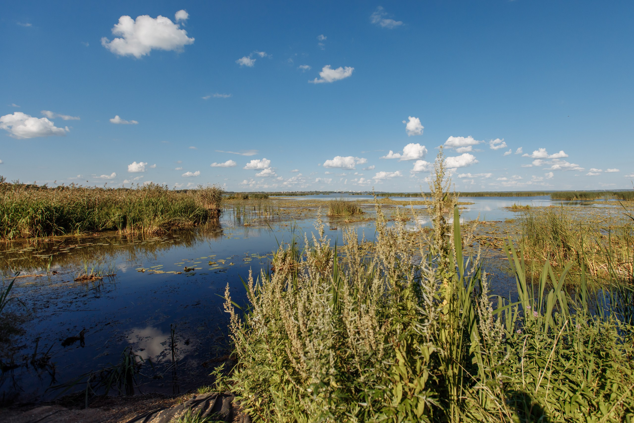 SUMMER. Motorkon. Свадебный фотограф в Ярославле Анастасия Архипова