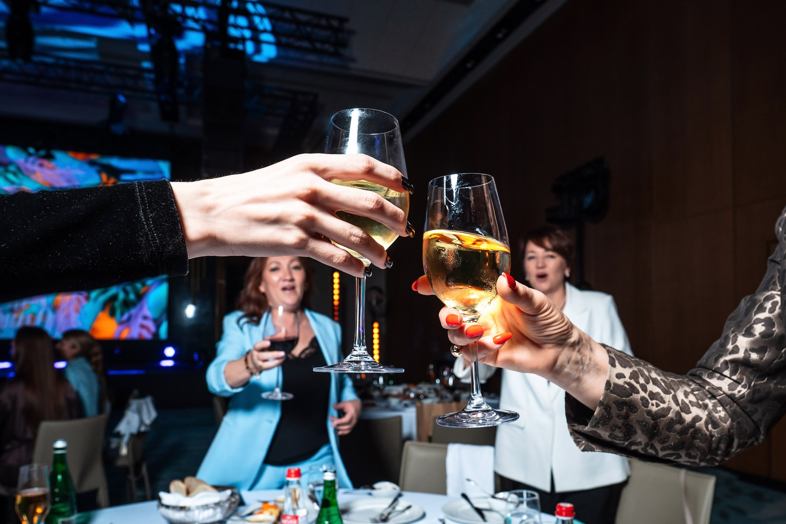 ССК. Фотограф Сочи