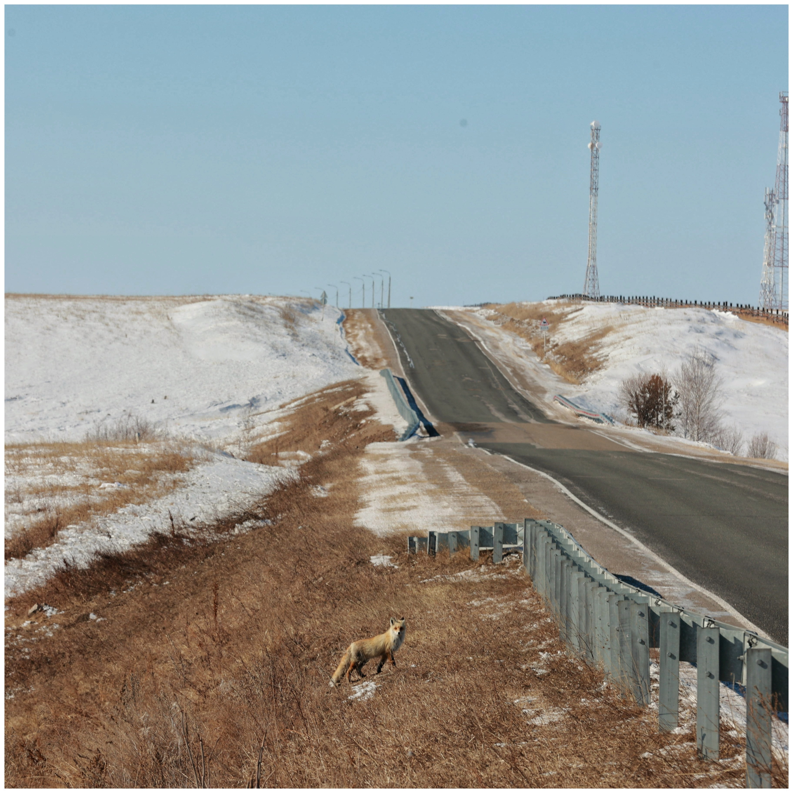 2022. Тащилин Сергей. Фотографии. Жизнь. Хобби