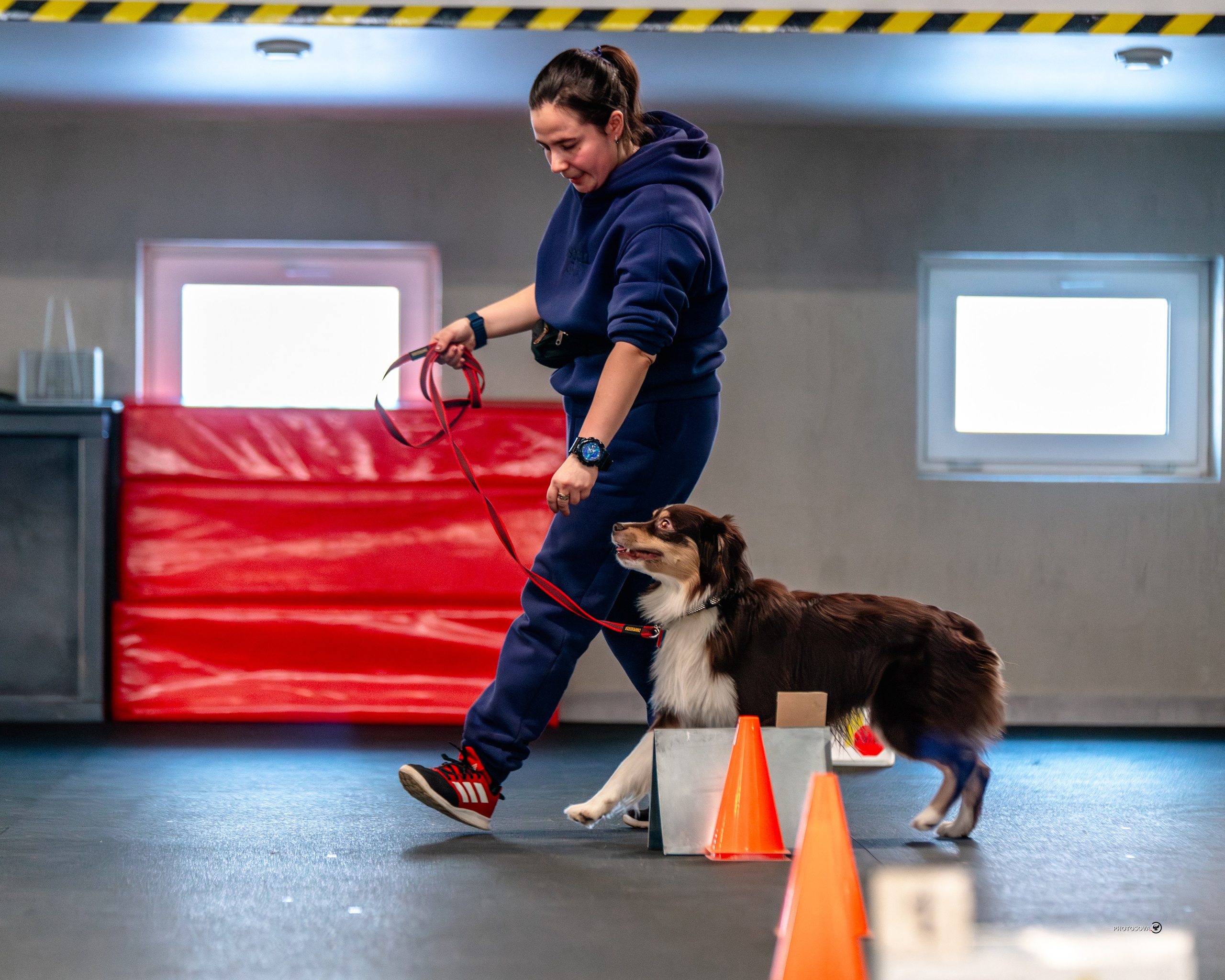 ТЫ И Я (соревнования по ралли-обидиенс). Фотограф-анималист, семейный фотограф в Москве и Подмосковье. Фотосъёмка кинологических дисциплин