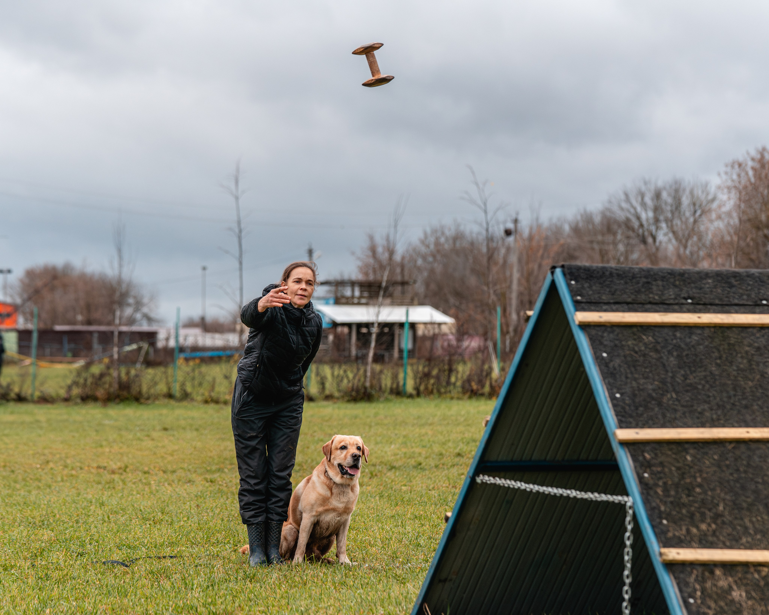 МЫ — КОМАНДА (соревнования) OKD, BH, IBGH, IGP. Фотограф-анималист, семейный фотограф в Москве и Подмосковье. Фотосъёмка кинологических дисциплин