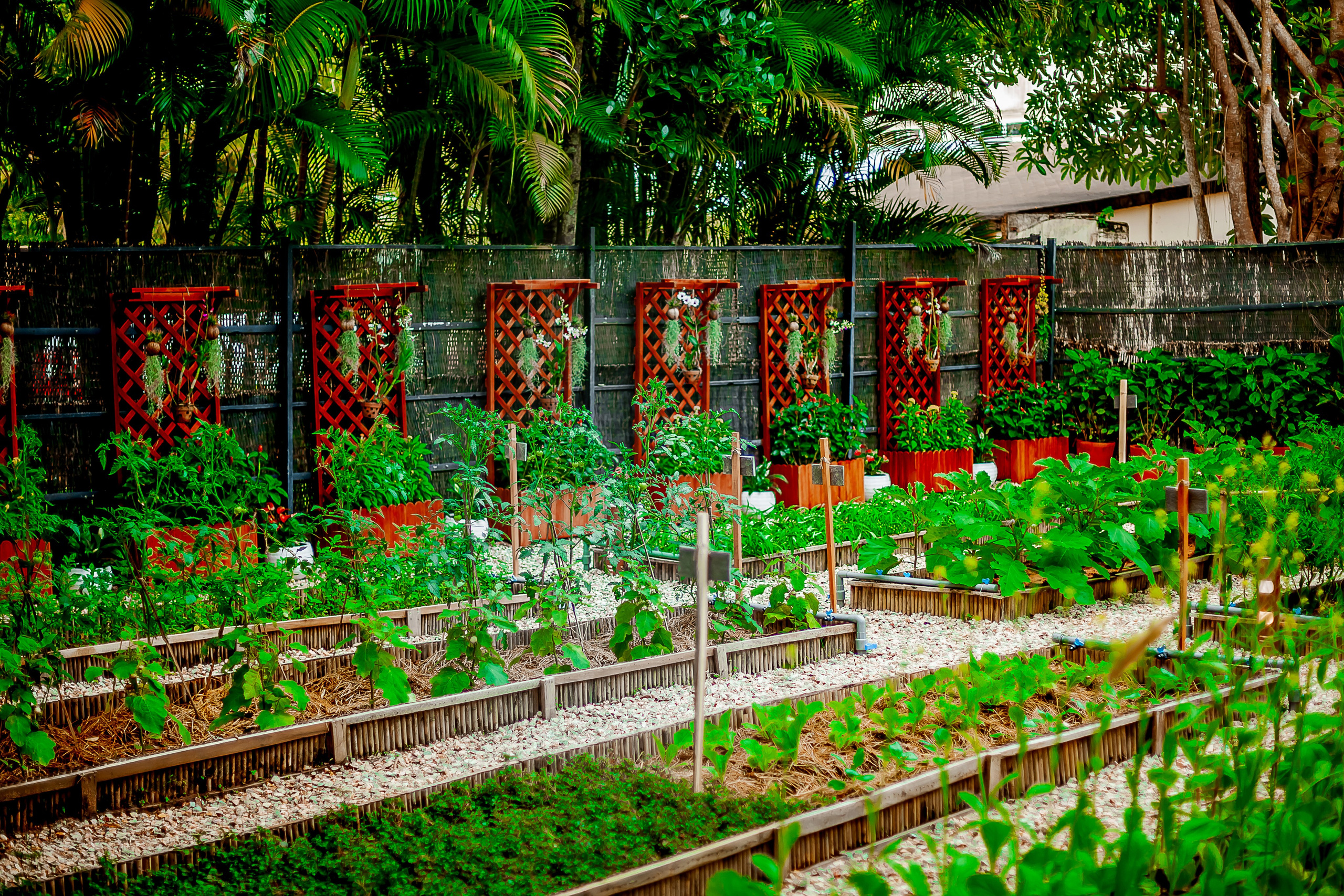 Репортажный фотограф Ялта. Репортажный фотограф Ялта