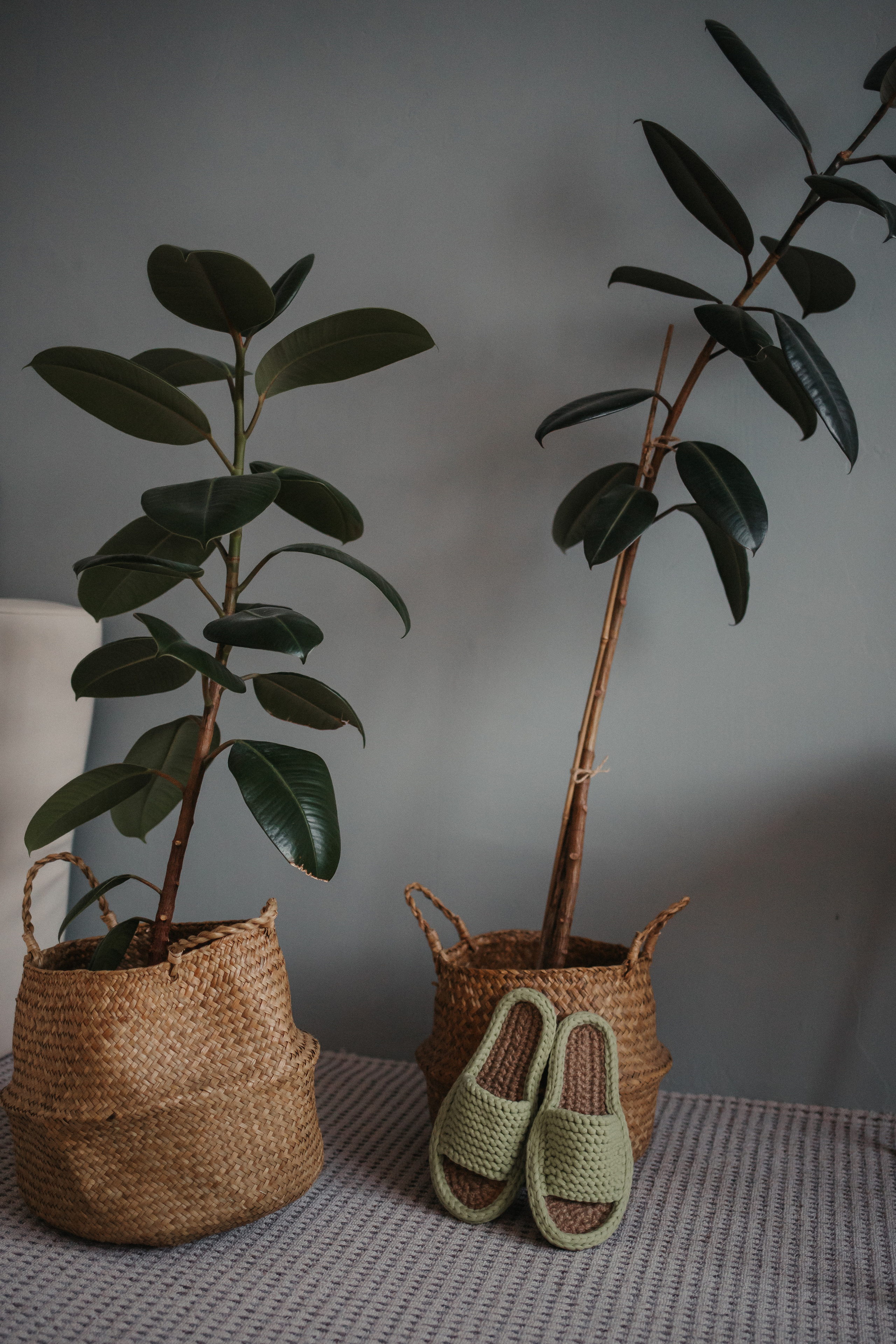 Для контента (тапочки). Фотограф Нижний Новгород