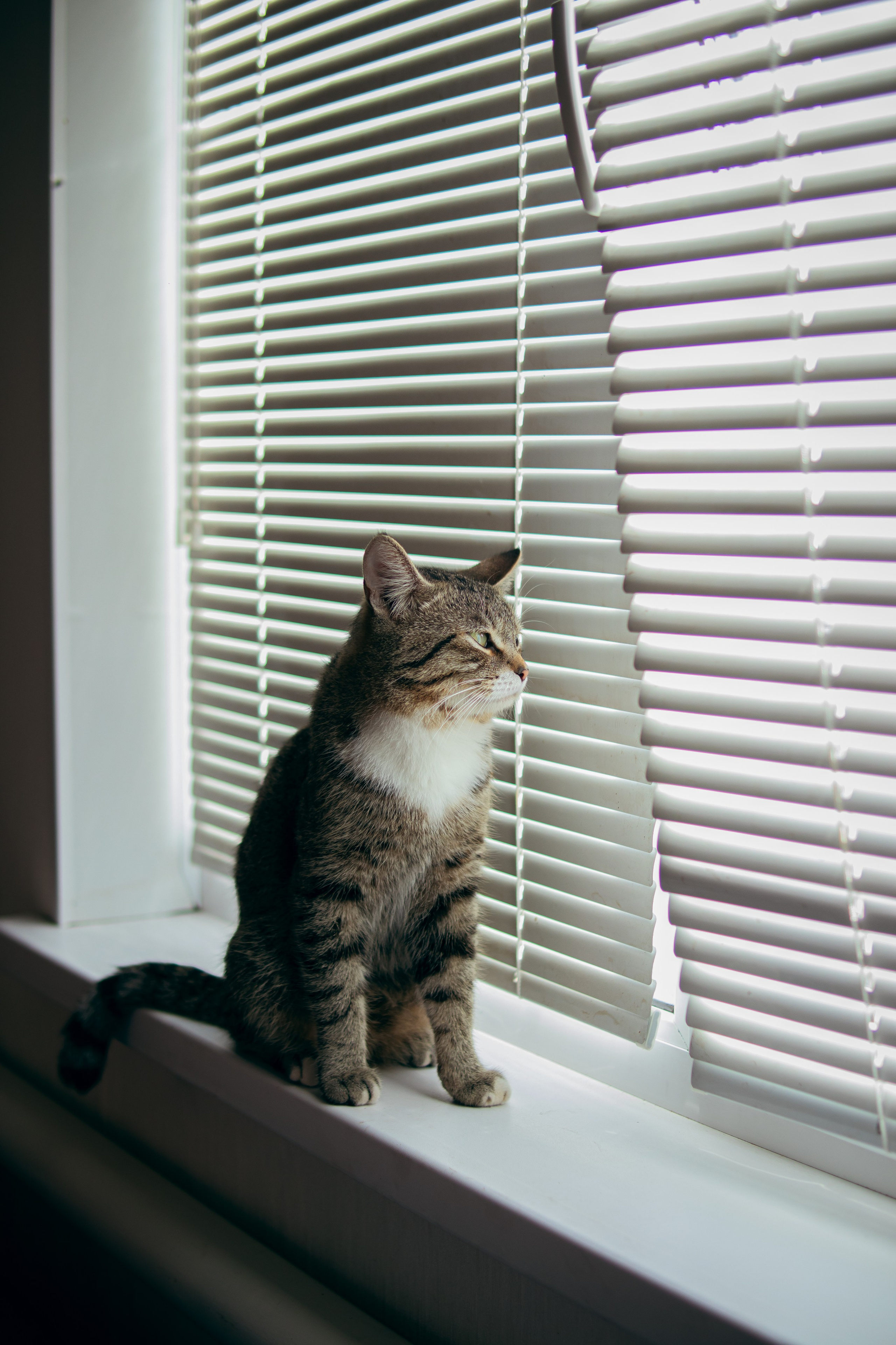 Данису пол года. Фотограф и видеограф в Бугульме Аня Трутнева