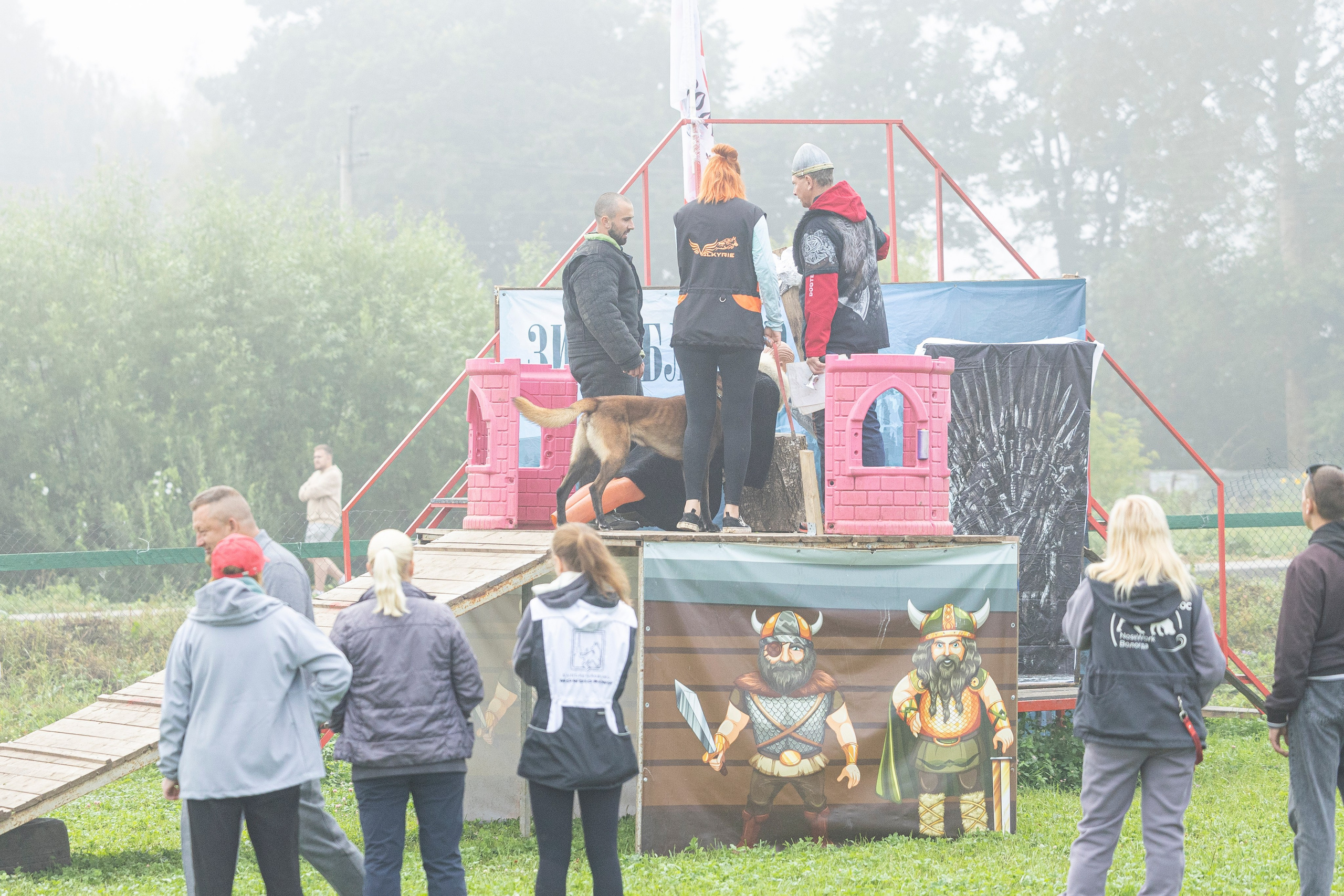 Соревнования по Мондьорингу г. Вологда 10-11.08.2024. Фотограф-анималист Анна Маринич