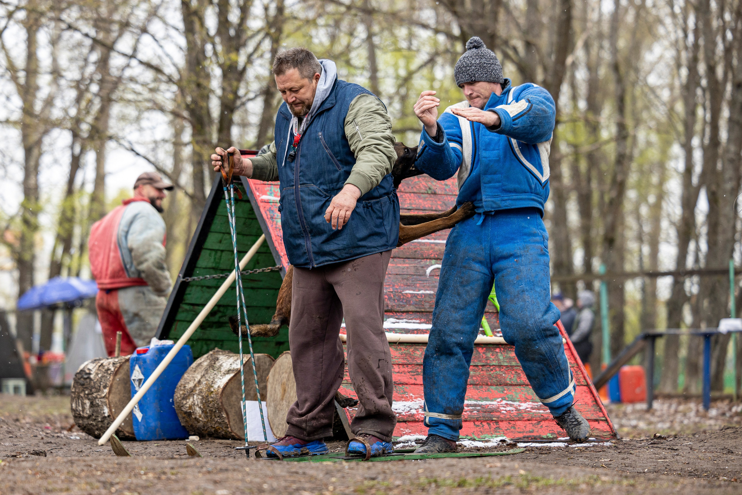 Квалификационные состязания по мондьорингу г. Вологда 11.05.24. Фотограф-анималист Анна Маринич