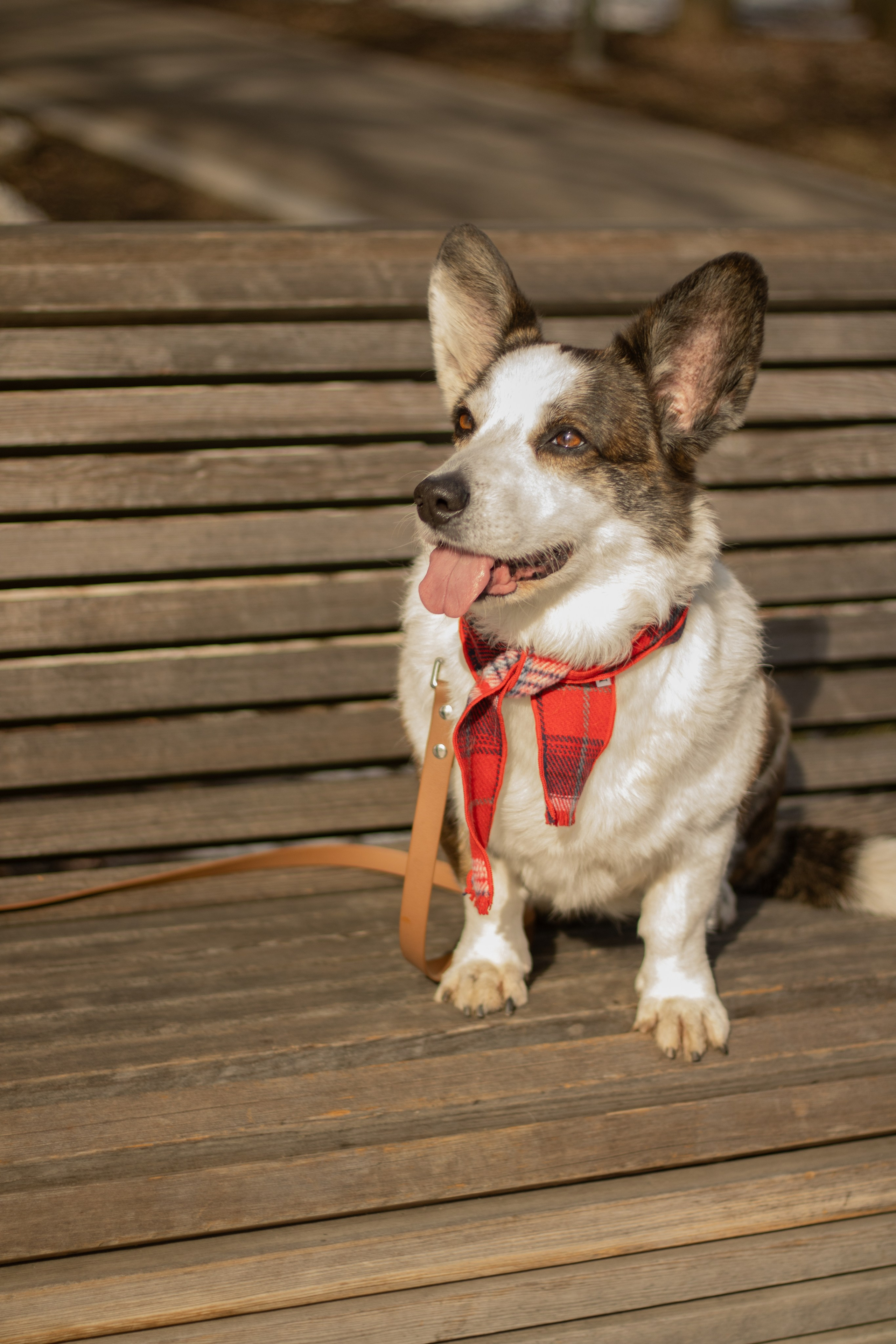 Юлия и Тэя. Катя Попова|ЛайфСтайл фотограф