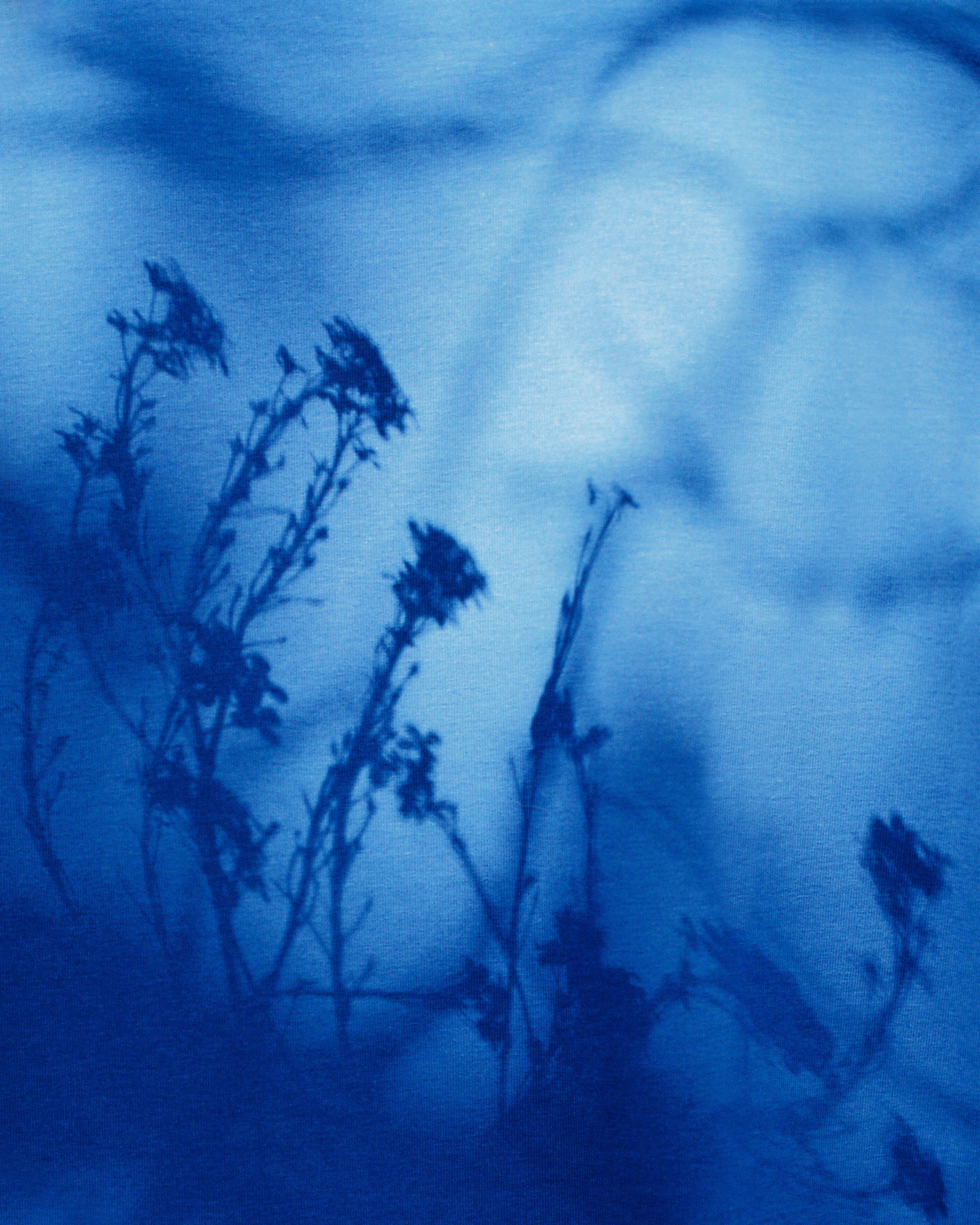 Ретушь. Фотограф Анастасия Бондарчук