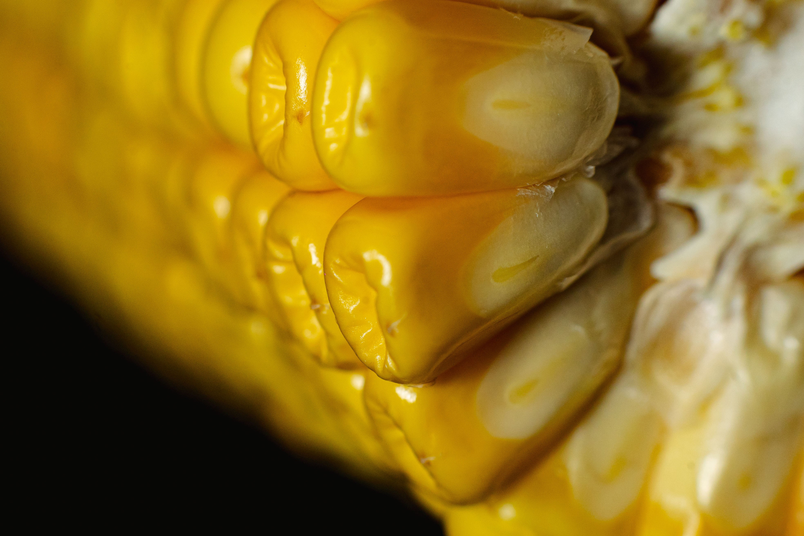 Коммерция. Портретный и событийный фотограф в Барнауле, Москве, Новосибирске