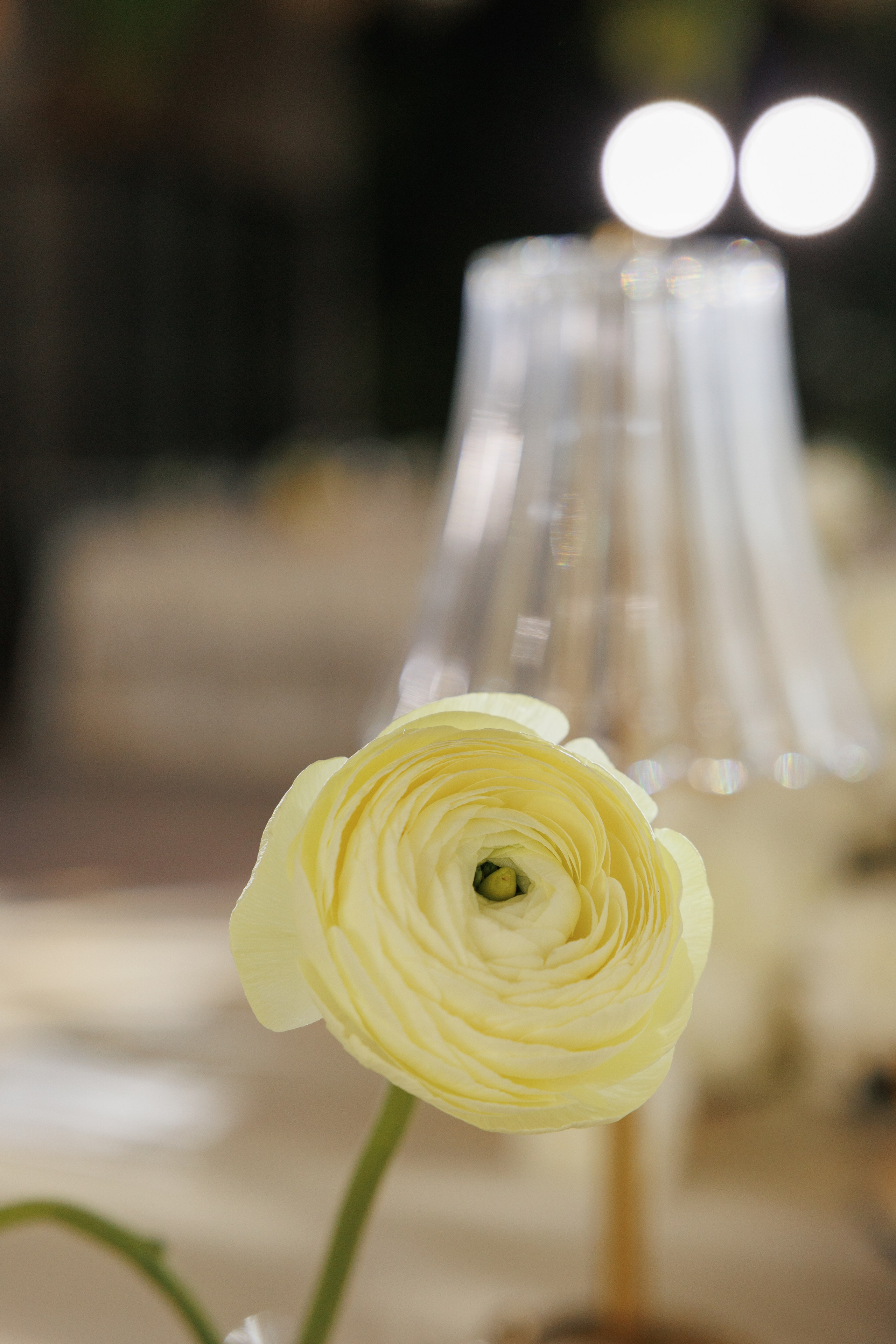 Василий и Алина. Свадебное агентство «LUKHMANOVA.Weddings&Events»