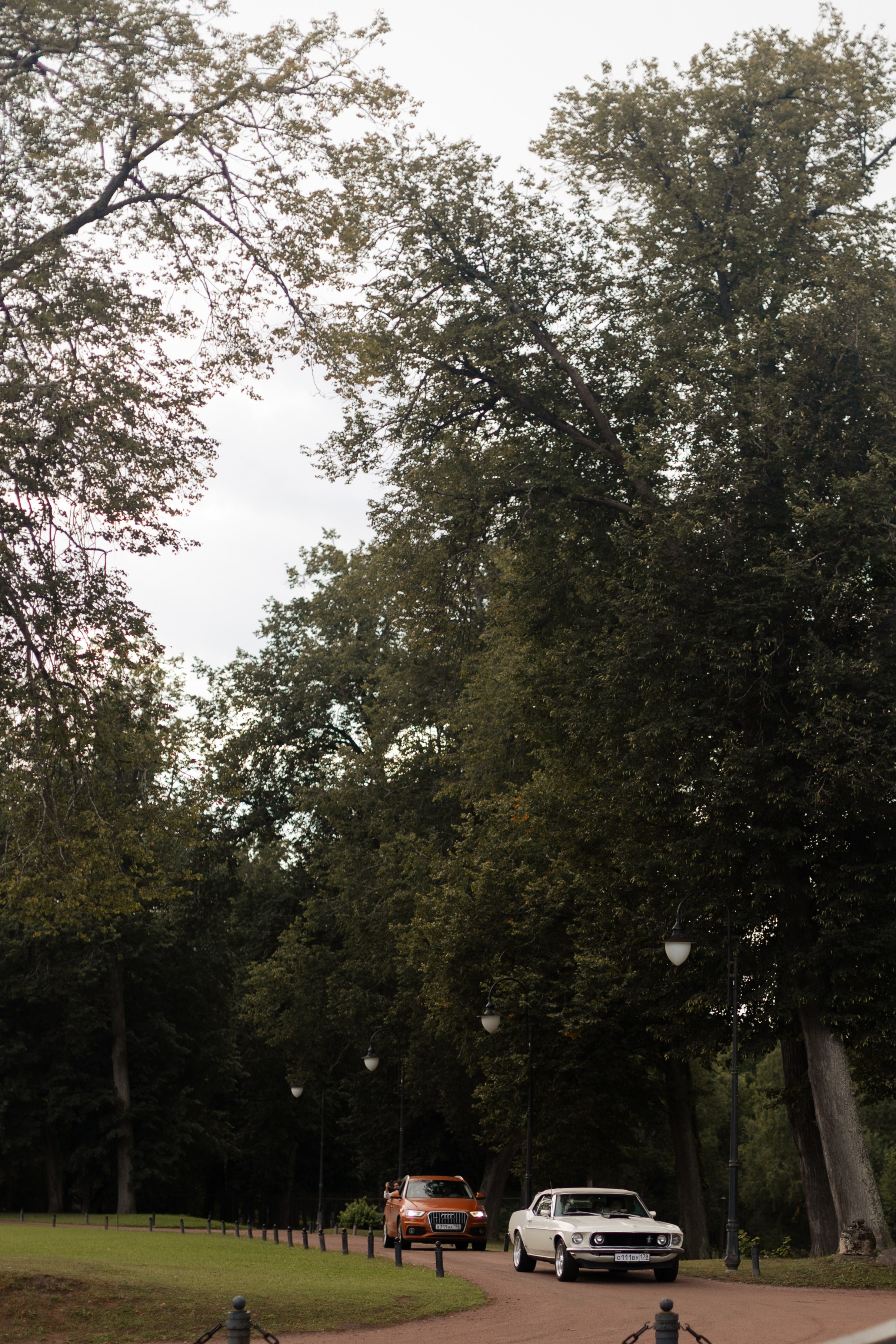 Артем и Анастасия: свадьба с танцами в замке. @dariazphoto свадебный фотограф