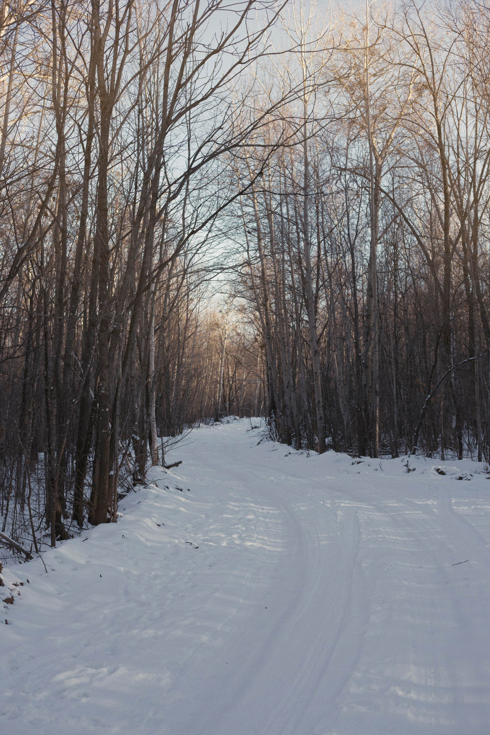 Природа Хабаровского края. Команда фотографов Кристины Ивановой