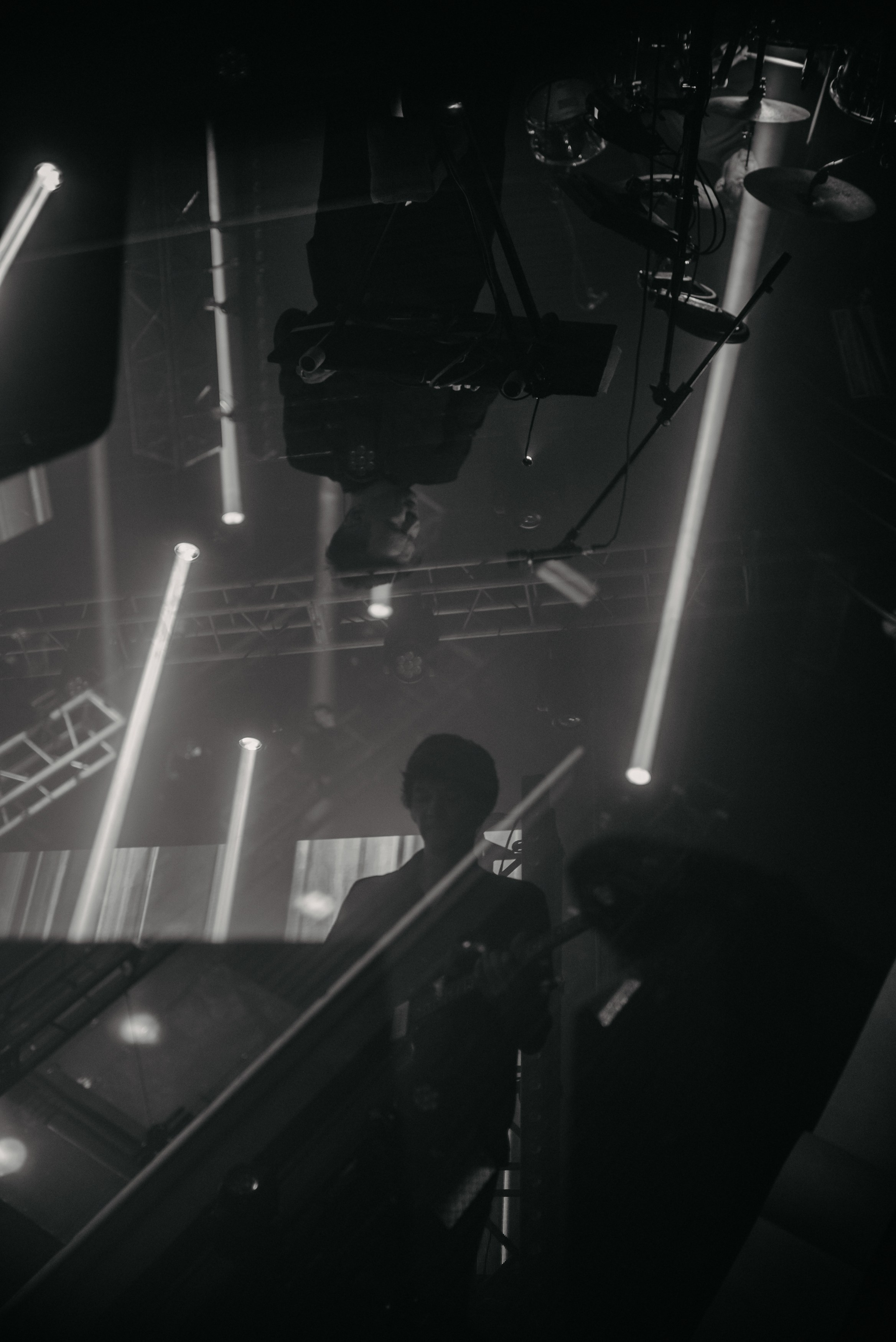 Дельфин | Gaudi. Контент фотограф Илья Урс