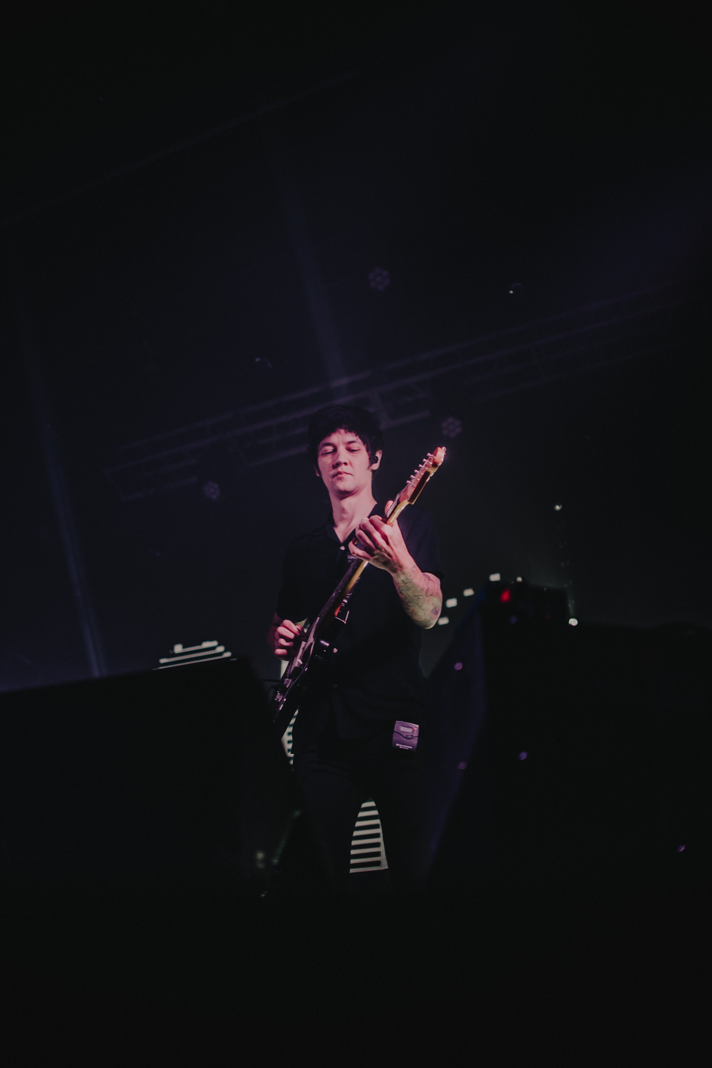 Дельфин | Gaudi. Контент фотограф Илья Урс