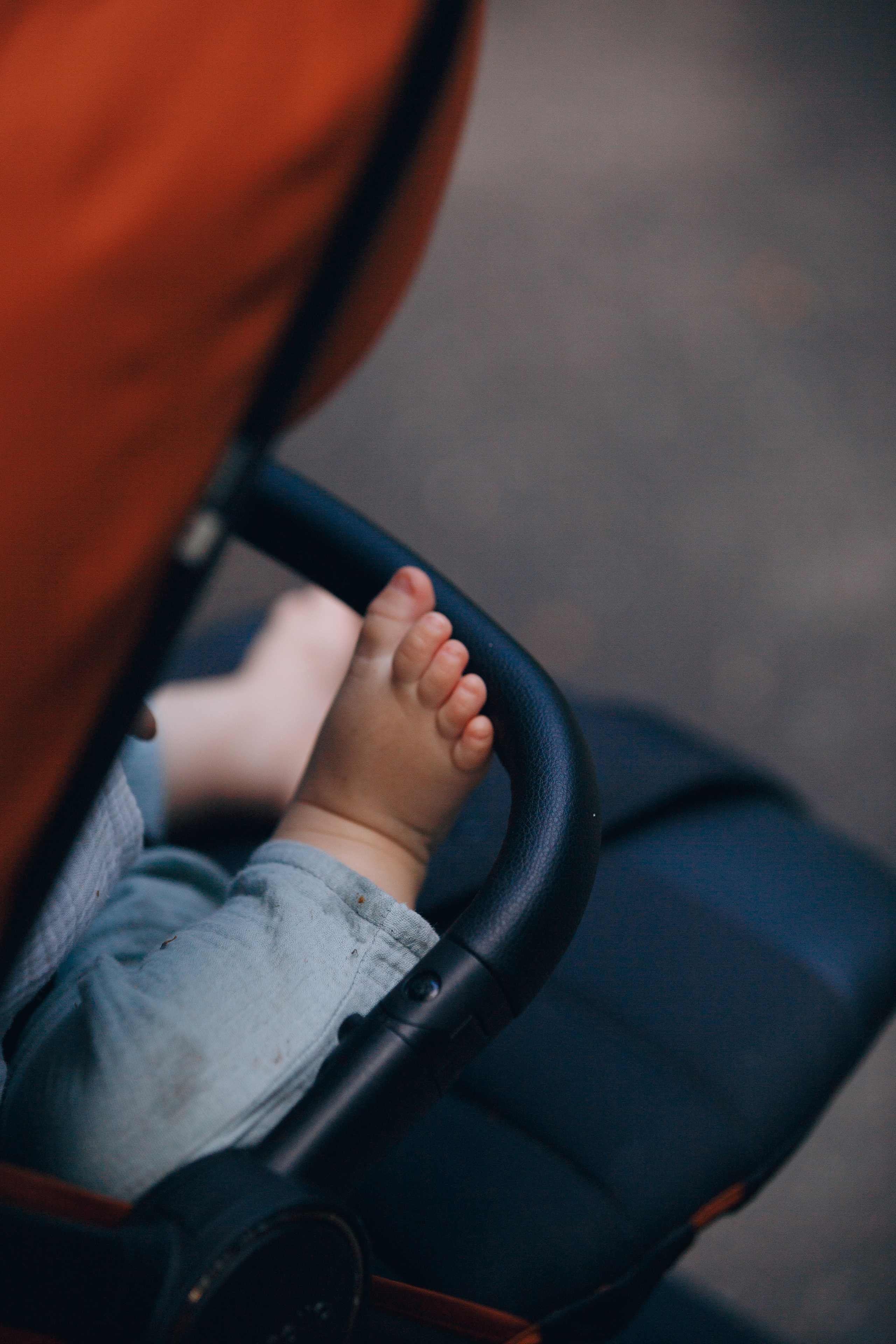 Мерф, Саша, Арсений и Андрей. Фотограф анималист Кристина Карпова, Москва