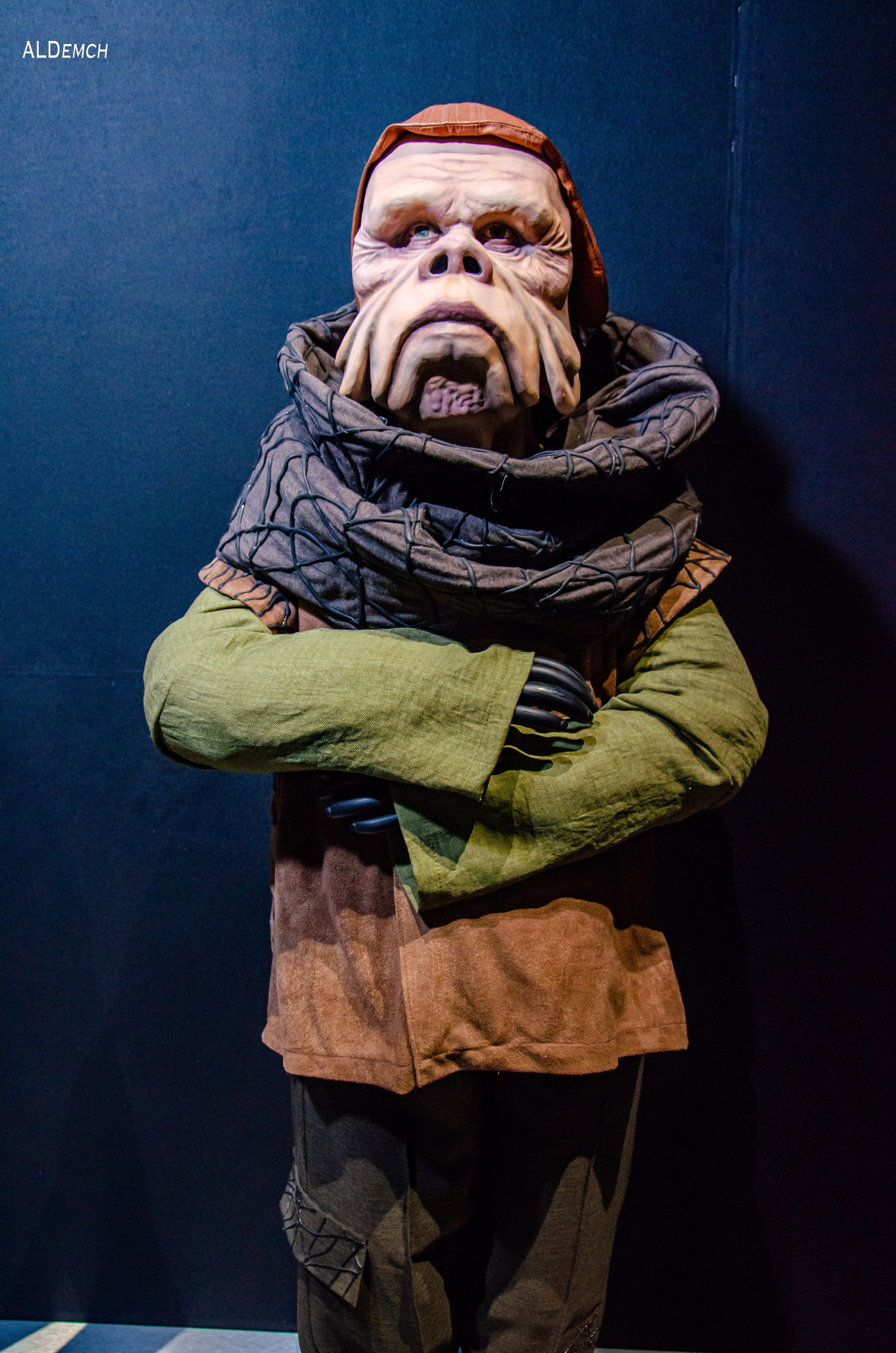 Фотосессия на ВДНХ косплей выставки по звёздным войнам